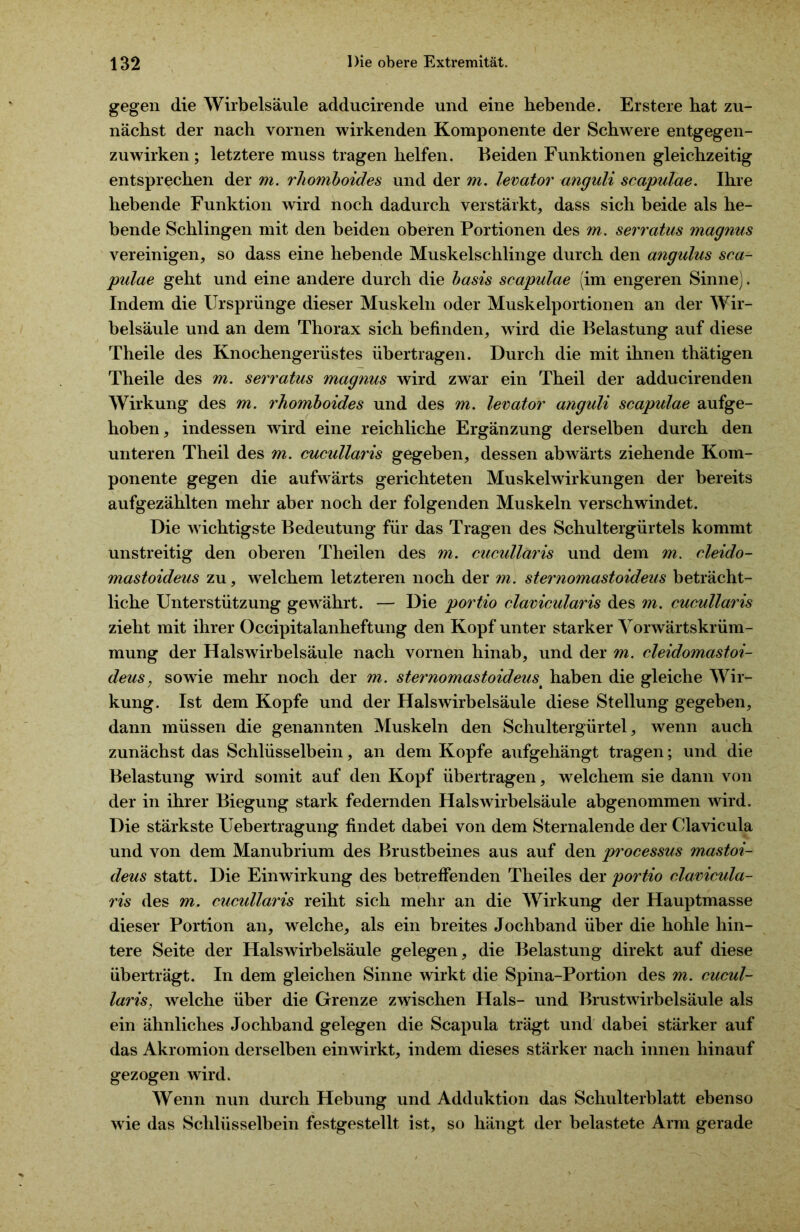 gegen die Wirbelsäule adducirende und eine hebende. Erstere hat zu- nächst der nach vornen wirkenden Komponente der Schwere entgegen- zuwirken ; letztere muss tragen helfen. Beiden Funktionen gleichzeitig entsprechen der m. rhomboides und der m. levator anguli scapulae. Ihre hebende Funktion wird noch dadurch verstärkt, dass sich beide als he- bende Schlingen mit den beiden oberen Portionen des m. serratus magnus vereinigen, so dass eine hebende Muskelschlinge durch den angidus sca- pulae geht und eine andere durch die basis scapulae (im engeren Sinne). Indem die Ursprünge dieser Muskeln oder Muskelportionen an der Wir- belsäule und an dem Thorax sich befinden, wird die Belastung auf diese Theile des Knochengerüstes übertragen. Durch die mit ihnen thätigen Theile des m. serratus magnus wird zwar ein Theil der adducirenden Wirkung des m. rhomboides und des m. levator anguli scapulae aufge- hoben, indessen wird eine reichliche Ergänzung derselben durch den unteren Theil des m. cucullaris gegeben, dessen abwärts ziehende Kom- ponente gegen die aufwärts gerichteten Muskelwirkungen der bereits aufgezählten mehr aber noch der folgenden Muskeln verschwindet. Die wichtigste Bedeutung für das Tragen des Schultergürtels kommt unstreitig den oberen Theilen des m. cucullaris und dem m. cleido- mastoideus zu, welchem letzteren noch der m. sternomastoideus beträcht- liche Unterstützung gewährt. — Die portio clavicularis des m. cucullaris zieht mit ihrer Occipitalanheftung den Kopf unter starker Vorwärtskrüm- mung der Halswirbelsäule nach vornen hinab, und der m. cleidomastoi- deus, sowie mehr noch der m. sternomastoideus haben die gleiche Wir- kung. Ist dem Kopfe und der Halswirbelsäule diese Stellung gegeben, dann müssen die genannten Muskeln den Schultergürtel, wenn auch zunächst das Schlüsselbein, an dem Kopfe aufgehängt tragen; und die Belastung wird somit auf den Kopf übertragen, welchem sie dann von der in ihrer Biegung stark federnden Halswirbelsäule abgenommen wird. Die stärkste Uebertragung findet dabei von dem Sternalende der Clavicula und von dem Manubrium des Brustbeines aus auf den processus mastoi- deus statt. Die Einwirkung des betreffenden Theiles der portio clavicula- ris des m. cucullaris reiht sich mehr an die Wirkung der Hauptmasse dieser Portion an, welche, als ein breites Jochband über die hohle hin- tere Seite der Halswirbelsäule gelegen, die Belastung direkt auf diese überträgt. In dem gleichen Sinne wirkt die Spina-Portion des m. cucul- laris, welche über die Grenze zwischen Hals- und Brustwirbelsäule als ein ähnliches Jochband gelegen die Scapula trägt und dabei stärker auf das Akromion derselben einwirkt, indem dieses stärker nach innen hinauf gezogen wird. Wenn nun durch Hebung und Adduktion das Schulterblatt ebenso wie das Schlüsselbein festgestellt ist, so hängt der belastete Arm gerade