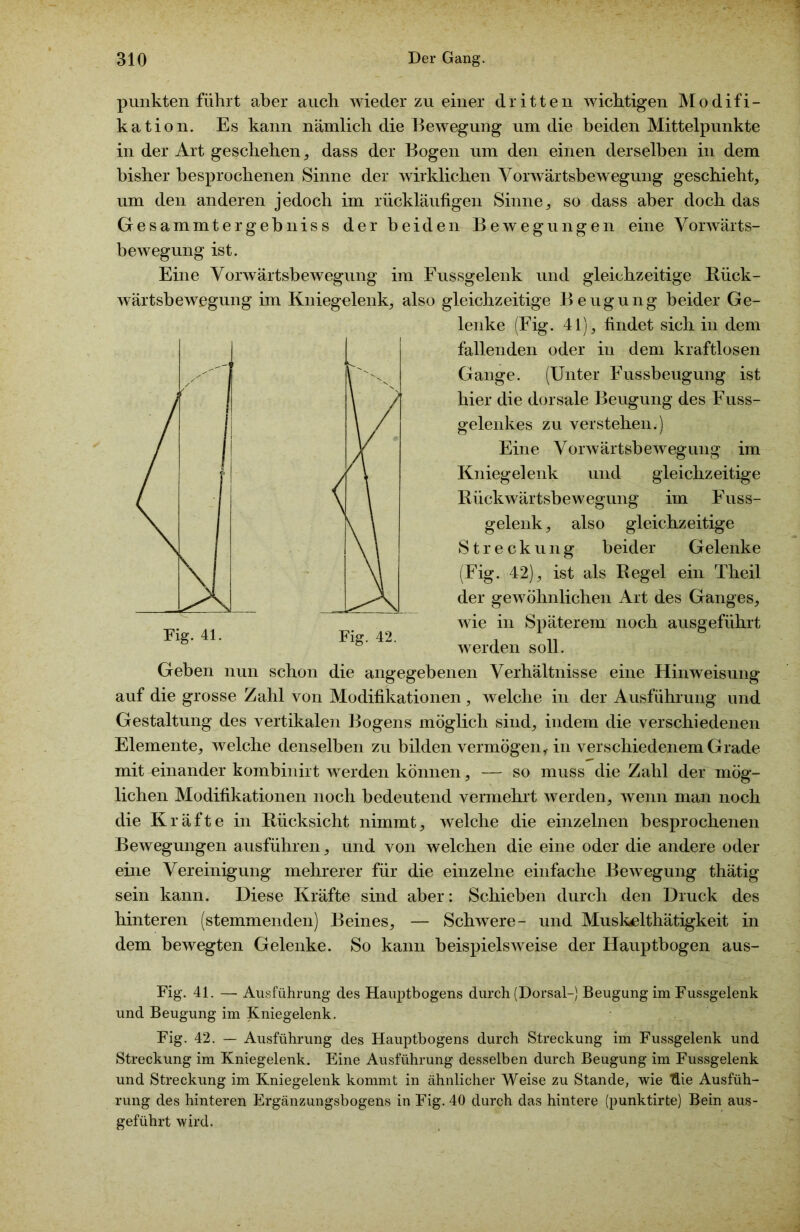 punkten führt aber auch wieder zu einer dritten wichtigen Modifi- kation. Es kann nämlich die Bewegung um die beiden Mittelpunkte in der Art geschehen, dass der Bogen um den einen derselben in dem bisher besprochenen Sinne der wirklichen Vorwärtsbewegung geschieht, um den anderen jedoch im rückläufigen Sinne, so dass aber doch das Gesammtergebniss der beiden Bewegungen eine Vorwärts- bewegung ist. Eine Vorwärtsbewegung im Fussgelenk und gleichzeitige Rück- wärtsbewegung im Kniegelenk, also gleichzeitige Beugung beider Ge- lenke (Fig. 41), findet sich in dem fallenden oder in dem kraftlosen Gange. (Unter Fussbeugung ist hier die dorsale Beugung des Fuss- gelenkes zu verstehen.) Eine Vorwärtsbewegung im Kniegelenk und gleichzeitige Rückwärtsbewegung im Fuss- gelenk , also gleichzeitige Streckung beider Gelenke (Fig. 42), ist als Regel ein Theil der gewöhnlichen Art des Ganges, wie in Späterem noch ausgeführt werden soll. Geben nun schon die angegebenen Verhältnisse eine Hinweisung auf die grosse Zahl von Modifikationen, welche in der Ausführung und Gestaltung des vertikalen Bogens möglich sind, indem die verschiedenen Elemente, welche denselben zu bilden vermögen,, in verschiedenem Grade mit einander kombinirt werden können, — so muss die Zahl der mög- lichen Modifikationen noch bedeutend vermehrt werden, wenn man noch die Kräfte in Rücksicht nimmt, welche die einzelnen besprochenen Bewegungen ausführen, und von welchen die eine oder die andere oder eine Vereinigung mehrerer für die einzelne einfache Bewegung thätig sein kann. Diese Kräfte sind aber: Schieben durch den Druck des hinteren (stemmenden) Beines, — Schwere- und Musk^lthätigkeit in dem bewegten Gelenke. So kann beispielsweise der Hauptbogen aus- Fig. 41. Fig. 42. Fig. 41. — Ausführung des Hauptbogens durch (Dorsal-) Beugung im Fussgelenk und Beugung im Kniegelenk. Fig. 42. — Ausführung des Hauptbogens durch Streckung im Fussgelenk und Streckung im Kniegelenk. Eine Ausführung desselben durch Beugung im Fussgelenk und Streckung im Kniegelenk kommt in ähnlicher Weise zu Stande, wie Hie Ausfüh- rung des hinteren Ergänzungsbogens in Fig. 40 durch das hintere (punktirte) Bein aus- geführt wird.