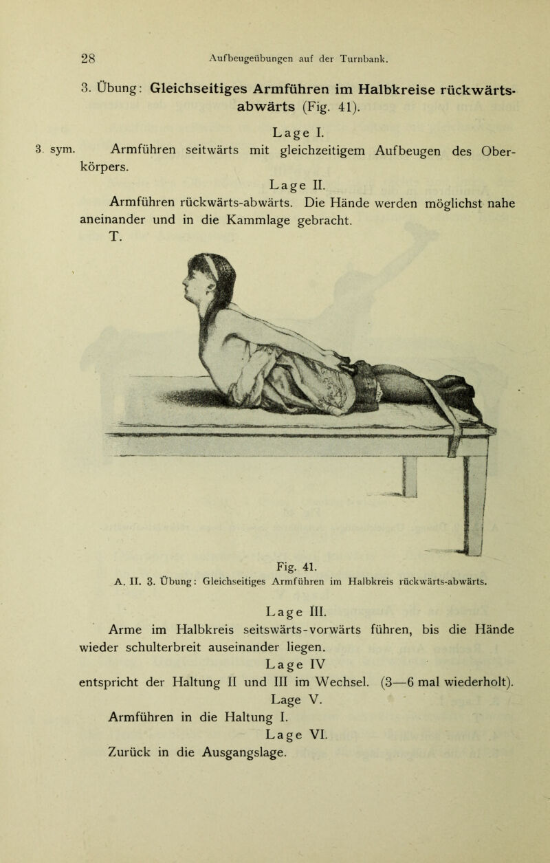 3. sym. Fig. 41. A. II. 3. Übung: Gleichseitiges Armführen im Halbkreis rückwärts-abwärts. Lage III. Arme im Halbkreis seitswärts-vorwärts führen, bis die Hände wieder schulterbreit auseinander liegen. Lage IV entspricht der Haltung II und III im Wechsel. (3—6 mal wiederholt). Lage V. Armführen in die Haltung I. Lage VI. Zurück in die Ausgangslage. 3. Übung: Gleichseitiges Armführen im Halbkreise rückwärts- abwärts (Fig. 41). Lage I. Armführen seitwärts mit gleichzeitigem Aufbeugen des Ober- körpers. Lage II. Armführen rückwärts-abwärts. Die Hände werden möglichst nahe aneinander und in die Kammlage gebracht. T.