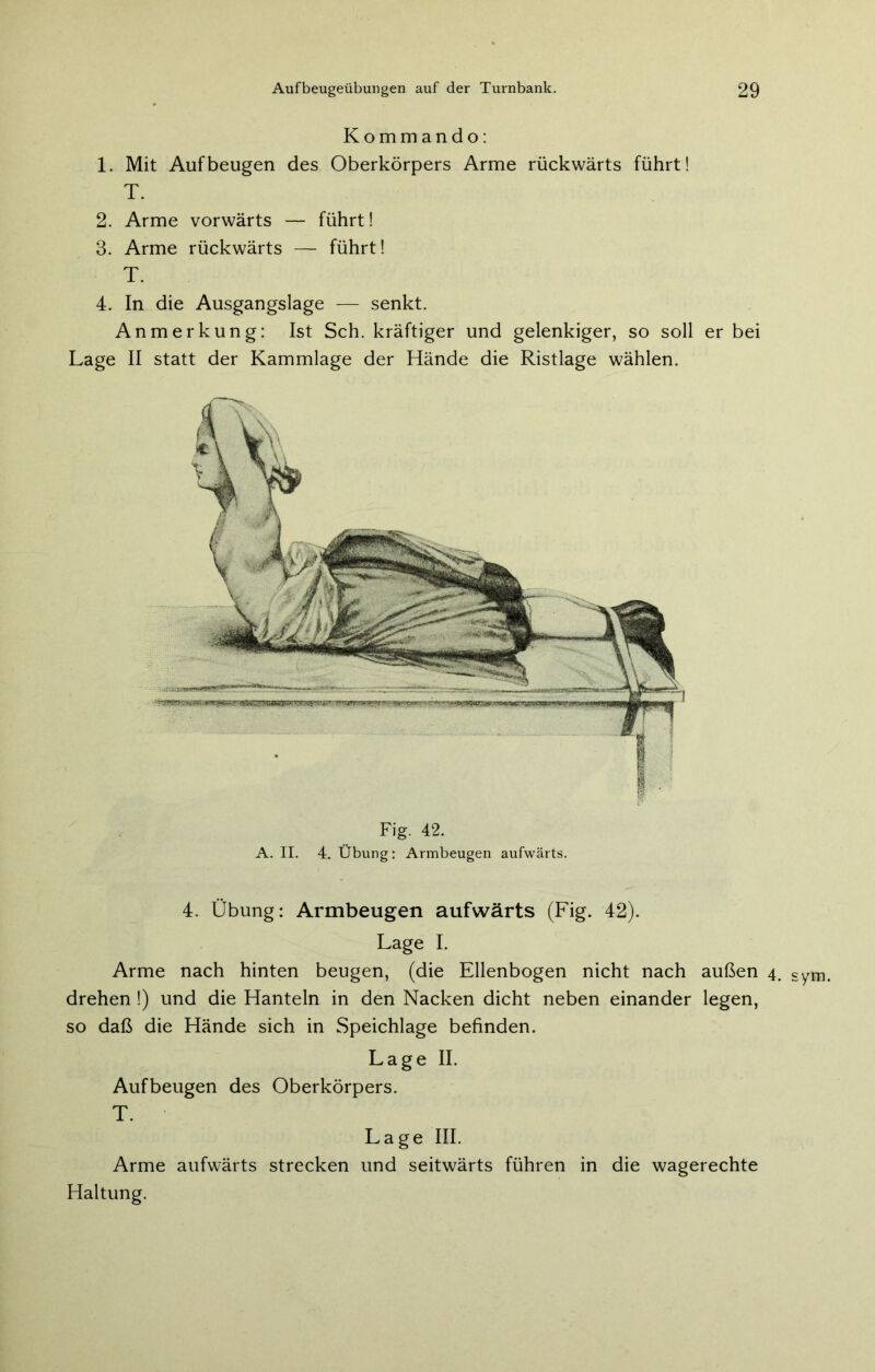 Kommando: 1. Mit Auf beugen des Oberkörpers Arme rückwärts führt! T. 2. Arme vorwärts — führt! 3. Arme rückwärts — führt! T. 4. In die Ausgangslage — senkt. Anmerkung: Ist Sch. kräftiger und gelenkiger, so soll er bei Lage II statt der Kammlage der Hände die Ristlage wählen. Fig. 42. A. II. 4. Übung: Armbeugen aufwärts. 4. Übung: Armbeugen aufwärts (Fig. 42). Lage I. Arme nach hinten beugen, (die Ellenbogen nicht nach außen 4 drehen !) und die Hanteln in den Nacken dicht neben einander legen, so daß die Hände sich in Speichlage befinden. Aufbeugen des Oberkörpers. T. Arme aufwärts strecken und seitwärts führen in die wagerechte Haltung.