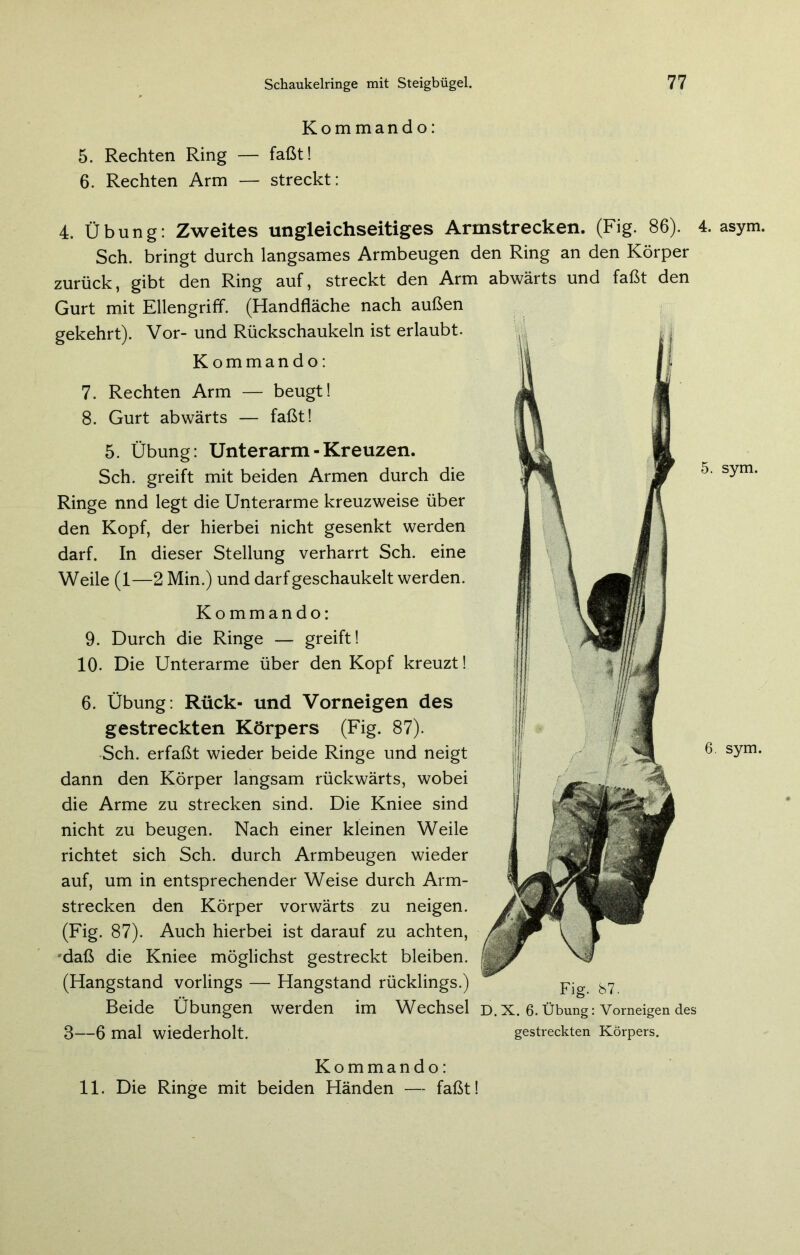 Kommando: 5. Rechten Ring — faßt! 6. Rechten Arm — streckt: 4. Übung: Zweites ungleichseitiges Armstrecken. (Fig. 86). Sch. bringt durch langsames Armbeugen den Ring an den Körper zurück, gibt den Ring auf, streckt den Arm abwärts und faßt den Gurt mit Ellengriff. (Handfläche nach außen gekehrt). Vor- und Rückschaukeln ist erlaubt. Kommando: 7. Rechten Arm — beugt! 8. Gurt abwärts — faßt! 5. Übung: Unterarm - Kreuzen. Sch. greift mit beiden Armen durch die Ringe nnd legt die Unterarme kreuzweise über den Kopf, der hierbei nicht gesenkt werden darf. In dieser Stellung verharrt Sch. eine Weile (1—2 Min.) und darf geschaukelt werden. Kommando: 9. Durch die Ringe — greift! 10- Die Unterarme über den Kopf kreuzt! 6. Übung: Rück- und Vorneigen des gestreckten Körpers (Fig. 87). Sch. erfaßt wieder beide Ringe und neigt dann den Körper langsam rückwärts, wobei die Arme zu strecken sind. Die Kniee sind nicht zu beugen. Nach einer kleinen Weile richtet sich Sch. durch Armbeugen wieder auf, um in entsprechender Weise durch Arm- strecken den Körper vorwärts zu neigen. (Fig. 87). Auch hierbei ist darauf zu achten, daß die Kniee möglichst gestreckt bleiben. (Hangstand vorlings — Hangstand rücklings.) Beide Übungen werden im Wechsel d.x. 6.Übung: Vorneigen des 3—6 mal wiederholt. gestreckten Körpers. 4. asym. 5. sym. 6. sym. Kommando: 11. Die Ringe mit beiden Händen — faßt!