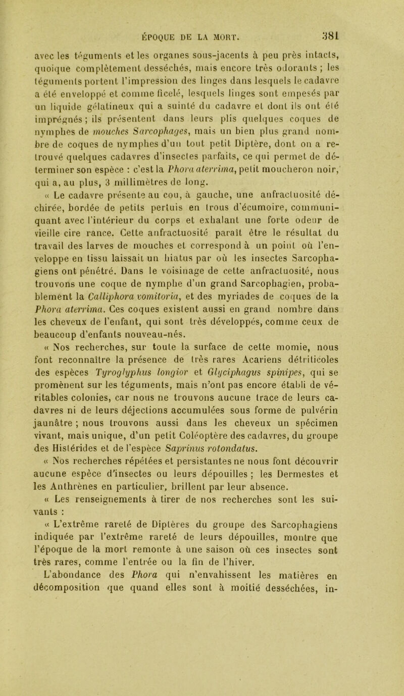 avec les tégumenls elles organes soiis-jacents à peu près intacts, quoique complètement desséchés, mais encore très odorants ; les téguments portent l’impression des linges dans lesquels le cadavre a été enveloppé et comme ficelé, lesquels linges sont empesés par un liquide gélatineux qui a suinté du cadavre et dont ils ont été imprégnés ; ils présentent dans leurs plis quelques coques de nymphes de mouches Sarcophages, mais un bien plus grand nom- bre de coques de nymphes d’un tout petit Diptère, dont on a re- trouvé quelques cadavres d’insectes parfaits, ce qui permet de dé- terminer son espèce : c’est la Phoraaterrima, petit moucheron noir, qui a, au plus, 3 millimètres de long. « Le cadavre présente au cou, à gauche, une anfractuosité dé- chirée, bordée de petits pertuis en trous d’écumoire, communi- quant avec l’intérieur du corps et exhalant une forte odeur de vieille cire rance. Celte anfractuosité paraît être le résultat du travail des larves de mouches et correspond à un point où l’en- veloppe en tissu laissait un hiatus par où les insectes Sarcopha- giens ont pénétré. Dans le voisinage de cette anfractuosité, nous trouvons une coque de nymphe d’un grand Sarcophagien, proba- blement la Calliphora vomitoria, et des myriades de coques de la Phora aterrima. Ces coques existent aussi en grand nombre dans les cheveux de l’enfant, qui sont très développés, comme ceux de beaucoup d’enfants nouveau-nés. « Nos recherches, sur toute la surface de cette momie, nous font reconnaître la présence de très rares Acariens détriticoles des espèces Tyroglyphus longior et Glyciphagus spinipes, qui se promènent sur les téguments, mais n’ont pas encore établi de vé- ritables colonies, car nous ne trouvons aucune trace de leurs ca- davres ni de leurs déjections accumulées sous forme de pulvérin jaunâtre ; nous trouvons aussi dans les cheveux un spécimen vivant, mais unique, d’un petit Coléoptère des cadavres, du groupe des Histérides et de l’espèce Saprinus rotondatus. « Nos recherches répétées et persistantes ne nous font découvrir aucune espèce dùnsectes ou leurs dépouilles ; les Dermestes et les Anlhrènes en particulier, brillent par leur absence. « Les renseignements à tirer de nos recherches sont les sui- vants : « L’extrême rareté de Diptères du groupe des Sarcophagiens indiquée par l’extrême rareté de leurs dépouilles, montre que l’époque de la mort remonte à une saison où ces insectes sont très rares, comme l’entrée ou la fin de l’hiver. L’abondance des Phora qui n’envahissent les matières en décomposition que quand elles sont à moitié desséchées, in-