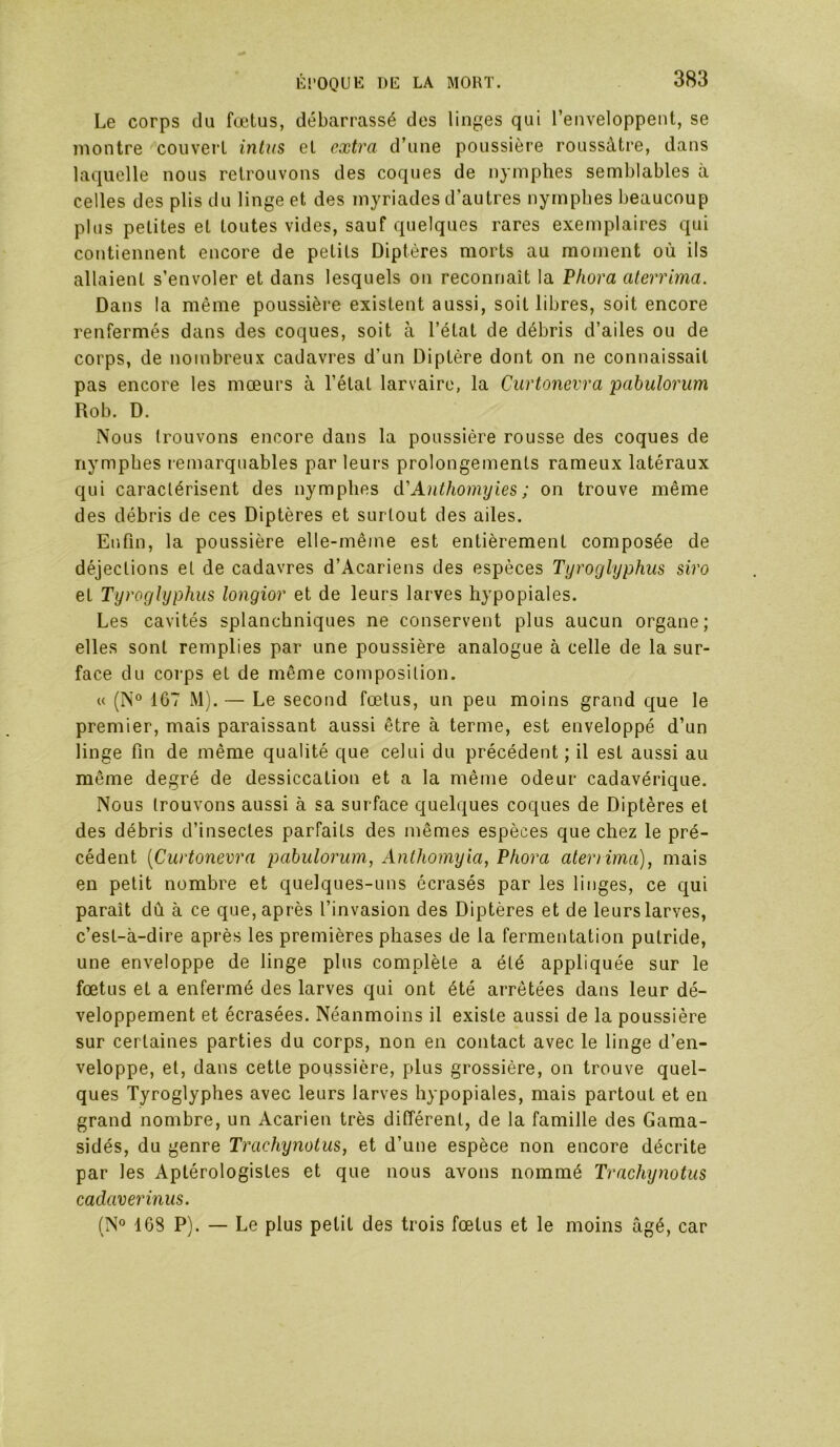 Le corps du fœtus, débarrassé des linges qui l’enveloppent, se montre '‘couvert intus et extra d’une poussière roussàtre, dans laquelle nous retrouvons des coques de nymphes semblables à celles des plis du linge et des myriades d’autres nymphes beaucoup plus petites et toutes vides, sauf quelques rares exemplaires qui contiennent encore de petits Diptères morts au moment où ils allaient s’envoler et dans lesquels on reconnaît la Pliora aterrima. Dans la même poussière existent aussi, soit libres, soit encore renfermés dans des coques, soit à l’état de débris d’ailes ou de corps, de nombreux cadavres d’un Diptère dont on ne connaissait pas encore les mœurs à l’état larvaire, la Curtonevra pabulorum Rob. D. Nous trouvons encore dans la poussière rousse des coques de nymphes remarquables par leurs prolongements rameux latéraux qui caractérisent des nymphes d'Anthomyies ; on trouve même des débris de ces Diptères et surtout des ailes. Enfin, la poussière elle-même est entièrement composée de déjections et de cadavres d’Acariens des espèces Tyroglyphus siro et Tyroglyphus longior et de leurs larves hypopiales. Les cavités splanchniques ne conservent plus aucun organe; elles sont remplies par une poussière analogue à celle de la sur- face du corps et de même composition. U (N° 167 M). — Le second fœtus, un peu moins grand que le premier, mais paraissant aussi être à terme, est enveloppé d’un linge fin de même qualité que celui du précédent ; il est aussi au même degré de dessiccation et a la même odeur cadavérique. Nous trouvons aussi à sa surface quelques coques de Diptères et des débris d’insectes parfaits des mêmes espèces que chez le pré- cédent [Curtonevra pabulorum, Anthomyia, Phora atenima), mais en petit nombre et quelques-uns écrasés par les linges, ce qui paraît dû à ce que, après l’invasion des Diptères et de leurs larves, c’est-à-dire après les premières phases de la fermentation putride, une enveloppe de linge plus complète a été appliquée sur le fœtus et a enfermé des larves qui ont été arrêtées dans leur dé- veloppement et écrasées. Néanmoins il existe aussi de la poussière sur certaines parties du corps, non en contact avec le linge d’en- veloppe, et, dans cette poussière, plus grossière, on trouve quel- ques Tyroglyphes avec leurs larves hypopiales, mais partout et en grand nombre, un Acarien très différent, de la famille des Gama- sidés, du genre Trachynotus, et d’une espèce non encore décrite par les Aptérologistes et que nous avons nommé Trachynotus cadaverinus. (N° 168 P). — Le plus petit des trois fœtus et le moins âgé, car