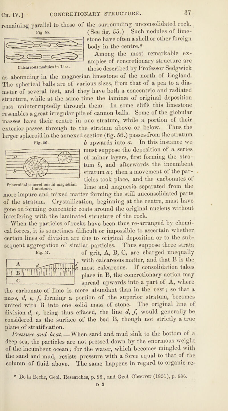 CONCRETIONARY STRUCTURE. remaining parallel to tliose of the surrounding unconsolidated rock. Fig. 55. (See fig. 55.) Such nodules of lime- stone have often a shell or other foreign body in the centre.* Among the most remarkable ex- amples of concretionary structure are those described by Professor Sedgwick as abounding in the magnesian limestone of the north of England. The spherical balls are of various sizes, from that of a pea to a dia- meter of several feet, and they have both a concentric and radiated structure, while at the same time the laminae of original deposition pass uninterruptedly through them. In some cliffs this limestone resembles a great irregular pile of cannon balls. Some of the globular masses have their centre in one stratum, while a portion of their exterior passes through to the stratum above or below. 1 hus the larger spheroid in the annexed section (fig. 56.) passes from the stratum Fig. 56. b upwards into a. In this instance we must suppose the deposition of a series of minor layers, first forming the stra- tum 5, and afterwards the incumbent stratum a ; then a movement of the par- ticles took place, and the carbonates of Spheroidal c°ncretions in magnesian anq magnesia separated from the more impure and mixed matter forming the still unconsolidated parts of the stratum. Crystallization, beginning at the centre, must have gone on forming concentric coats around the original nucleus without interfering with the laminated structure of the rock. When the particles of rocks have been thus re-arranged by chemi- cal forces, it is sometimes difficult or impossible to ascertain whether certain lines of division are due to original deposition or to the sub- sequent aggregation of similar particles. Thus suppose three strata Fig. 57. of grit, A, B, C, are charged unequally with calcareous matter, and that B is the most calcareous. If consolidation takes place in B, the concretionary action may spread upwards into a part of A, where the carbonate of lime is more abundant than in the rest; so that a mass, d, e, J’ forming a portion of the superior stratum, becomes united with B into one solid mass of stone. rIhe original line of division d, e, being thus effaced, the line <7, fy would generally be considered as the surface of the bed B, though not strictly a true plane of stratification. Pressure and heat. — When sand and mud sink to the bottom of a deep sea, the particles are not pressed down by the enormous weight of the incumbent ocean ; for the water, which becomes mingled with the sand and mud, resists pressure with a force equal to that of the column of fluid above. The same happens in regard to organic re- Calcareous nodules in Lias. * De la Recke, Geol. Researches, p. 95., and Gcoh Observer (1851), p. 686.