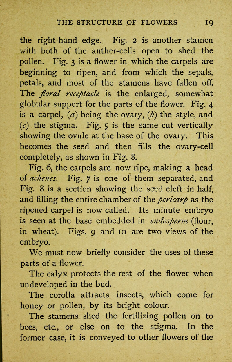 the right-hand edge. Fig. 2 is another stamen with both of the anther-cells open to shed the pollen. Fig. 3 is a flower in which the carpels are beginning to ripen, and from which the sepals, petals, and most of the stamens have fallen off. The floral receptacle is the enlarged, somewhat globular support for the parts of the flower. Fig. 4 is a carpel, (a) being the ovary, (b) the style, and (.c) the stigma. Fig. 5 is the same cut vertically showing the ovule at the base of the ovary. This becomes the seed and then fills the ovary-cell completely, as shown in Fig. 8. Fig. 6, the carpels are now ripe, making a head of achenes. Fig. 7 is one of them separated, and Fig. 8 is a section showing the seed cleft in half, and filling the entire chamber of the pericarp as the ripened carpel is now called. Its minute embryo is seen at the base embedded in endosperm (flour, in wheat). Figs. 9 and 10 are two views of the embryo. We must now briefly consider the uses of these parts of a flower. The calyx protects the rest of the flower when undeveloped in the bud. The corolla attracts insects, which come for honey or pollen, by its bright colour. The stamens shed the fertilizing pollen on to bees, etc., or else on to the stigma. In the former case, it is conveyed to other flowers of the