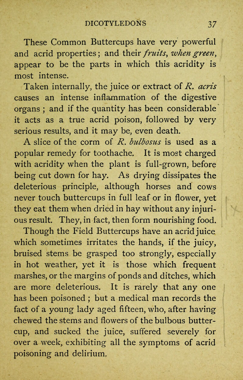 These Common Buttercups have very powerful and acrid properties; and their fruits, when green, appear to be the parts in which this acridity is most intense. Taken internally, the juice or extract of R. acris causes an intense inflammation of the digestive organs ; and if the quantity has been considerable it acts as a true acrid poison, followed by very serious results, and it may be, even death. A slice of the corm of R. bulbosus is used as a popular remedy for toothache. It is most charged with acridity when the plant is full-grown, before being cut down for hay. As drying dissipates the deleterious principle, although horses and cows never touch buttercups in full leaf or in flower, yet they eat them when dried in hay without any injuri- ous result. They, in fact, then form nourishing food. Though the Field Buttercups have an acrid juice which sometimes irritates the hands, if the juicy, bruised stems be grasped too strongly, especially in hot weather, yet it is those which frequent marshes, or the margins of ponds and ditches, which are more deleterious. It is rarely that any one has been poisoned ; but a medical man records the fact of a young lady aged fifteen, who, after having chewed the stems and flowers of the bulbous butter- cup, and sucked the juice, suffered severely for over a week, exhibiting all the symptoms of acrid poisoning and delirium.