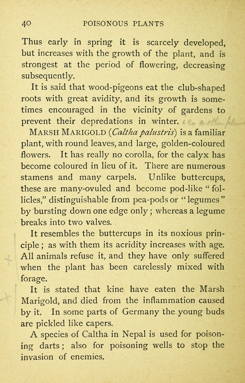 Thus early in spring it is scarcely developed, but increases with the growth of the plant, and is strongest at the period of flowering, decreasing subsequently. It is said that wood-pigeons eat the club-shaped roots with great avidity, and its growth is some- times encouraged in the vicinity of gardens to prevent their depredations in winter. Marsh Marigold (Calthapalnstris) is a familiar plant, with round leaves, and large, golden-coloured flowers. It has really no corolla, for the calyx has become coloured in lieu of it. There are numerous stamens and many carpels. Unlike buttercups, these are many-ovuled and become pod-like “ fol- licles,” distinguishable from pea-pods or “legumes” by bursting down one edge only; whereas a legume breaks into two valves. It resembles the buttercups in its noxious prin- ciple ; as with them its acridity increases with age. All animals refuse it, and they have only suffered when the plant has been carelessly mixed with forage. It is stated that kine have eaten the Marsh Marigold, and died from the inflammation caused by it. In some parts of Germany the young buds are pickled like capers. A species of Caltha in Nepal is used for poison- ing darts ; also for poisoning wells to stop the invasion of enemies,