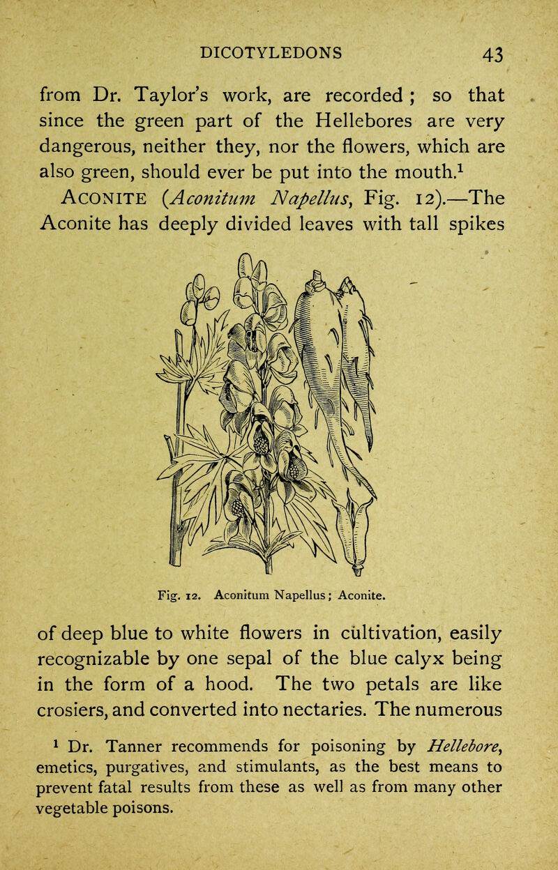 from Dr. Taylor’s work, are recorded ; so that since the green part of the Hellebores are very dangerous, neither they, nor the flowers, which are also green, should ever be put into the mouth.1 Aconite (.Aconitum Napellas, Fig. 12).—The Aconite has deeply divided leaves with tall spikes of deep blue to white flowers in cultivation, easily recognizable by one sepal of the blue calyx being in the form of a hood. The two petals are like crosiers, and converted into nectaries. The numerous 1 Dr. Tanner recommends for poisoning by Hellebore, emetics, purgatives, and stimulants, as the best means to prevent fatal results from these as well as from many other vegetable poisons.