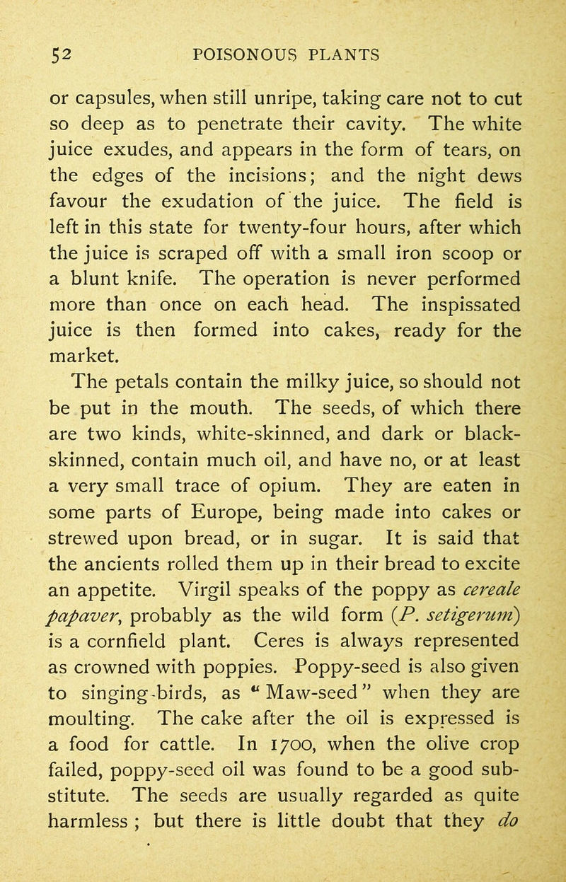 or capsules, when still unripe, taking care not to cut so deep as to penetrate their cavity. The white juice exudes, and appears in the form of tears, on the edges of the incisions; and the night dews favour the exudation of the juice. The field is left in this state for twenty-four hours, after which the juice is scraped off with a small iron scoop or a blunt knife. The operation is never performed more than once on each head. The inspissated juice is then formed into cakes, ready for the market. The petals contain the milky juice, so should not be put in the mouth. The seeds, of which there are two kinds, white-skinned, and dark or black- skinned, contain much oil, and have no, or at least a very small trace of opium. They are eaten in some parts of Europe, being made into cakes or strewed upon bread, or in sugar. It is said that the ancients rolled them up in their bread to excite an appetite. Virgil speaks of the poppy as cereale papaver, probably as the wild form {P. setigerum) is a cornfield plant. Ceres is always represented as crowned with poppies. Poppy-seed is also given to singing-birds, as u Maw-seed ” when they are moulting. The cake after the oil is expressed is a food for cattle. In 1700, when the olive crop failed, poppy-seed oil was found to be a good sub- stitute. The seeds are usually regarded as quite harmless ; but there is little doubt that they do