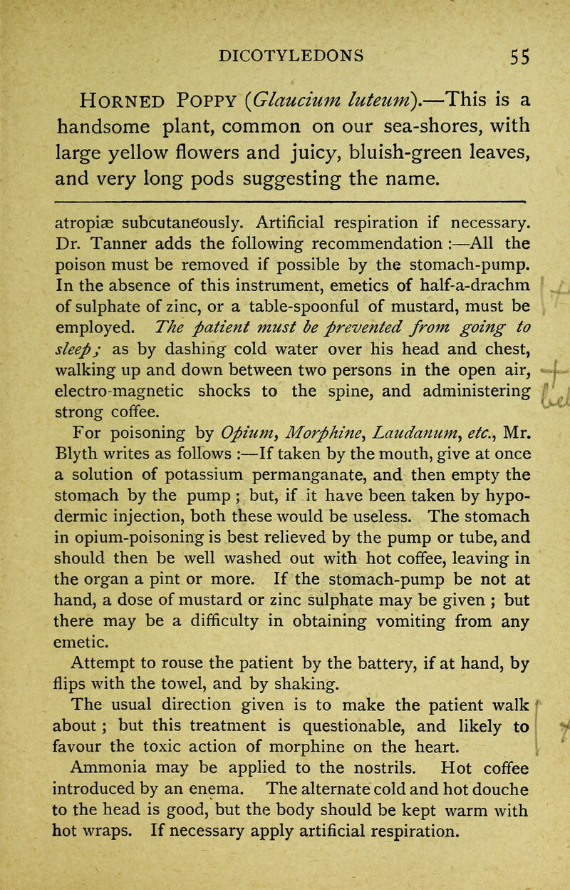 Horned Poppy (Glaucium luteum).—This is a handsome plant, common on our sea-shores, with large yellow flowers and juicy, bluish-green leaves, and very long pods suggesting the name. atropiae subcutaneously. Artificial respiration if necessary. Dr. Tanner adds the following recommendation :—All the poison must be removed if possible by the stomach-pump. In the absence of this instrument, emetics of half-a-drachm of sulphate of zinc, or a table-spoonful of mustard, must be employed. The patient must be prevented from going to sleepj as by dashing cold water over his head and chest, walking up and down between two persons in the open air, electro-magnetic shocks to the spine, and administering strong coffee. For poisoning by Opium> Morphine, Laudanum, etc., Mr. Blyth writes as follows :—If taken by the mouth, give at once a solution of potassium permanganate, and then empty the stomach by the pump ; but, if it have been taken by hypo- dermic injection, both these would be useless. The stomach in opium-poisoning is best relieved by the pump or tube, and should then be well washed out with hot coffee, leaving in the organ a pint or more. If the stomach-pump be not at hand, a dose of mustard or zinc sulphate may be given ; but there may be a difficulty in obtaining vomiting from any emetic. Attempt to rouse the patient by the battery, if at hand, by flips with the towel, and by shaking. The usual direction given is to make the patient walk about; but this treatment is questionable, and likely to favour the toxic action of morphine on the heart. Ammonia may be applied to the nostrils. Hot coffee introduced by an enema. The alternate cold and hot douche to the head is good, but the body should be kept warm with hot wraps. If necessary apply artificial respiration.