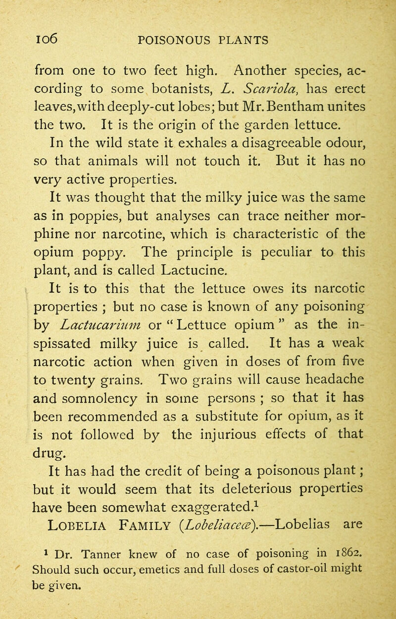 from one to two feet high. Another species, ac- cording to some botanists, L. Scariola, has erect leaves, with deeply-cut lobes; but Mr.Bentham unites the two. It is the origin of the garden lettuce. In the wild state it exhales a disagreeable odour, so that animals will not touch it. But it has no very active properties. It was thought that the milky juice was the same as in poppies, but analyses can trace neither mor- phine nor narcotine, which is characteristic of the opium poppy. The principle is peculiar to this plant, and is called Lactucine. It is to this that the lettuce owes its narcotic properties ; but no case is known of any poisoning by Lactucarium or “ Lettuce opium ” as the in- spissated milky juice is called. It has a weak narcotic action when given in doses of from five to twenty grains. Two grains will cause headache and somnolency in some persons ; so that it has been recommended as a substitute for opium, as it is not followed by the injurious effects of that drug. It has had the credit of being a poisonous plant; but it would seem that its deleterious properties have been somewhat exaggerated.1 Lobelia Family (Lobeliacece).—Lobelias are 1 Dr. Tanner knew of no case of poisoning in 1862. Should such occur, emetics and full doses of castor-oil might be given.