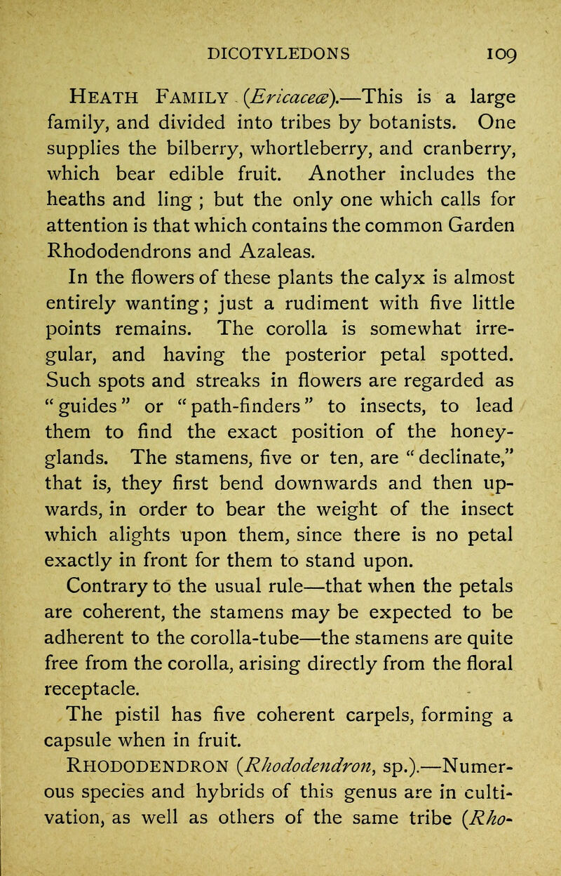 Heath Family (Ericacecs).—This is a large family, and divided into tribes by botanists. One supplies the bilberry, whortleberry, and cranberry, which bear edible fruit. Another includes the heaths and ling ; but the only one which calls for attention is that which contains the common Garden Rhododendrons and Azaleas. In the flowers of these plants the calyx is almost entirely wanting; just a rudiment with five little points remains. The corolla is somewhat irre- gular, and having the posterior petal spotted. Such spots and streaks in flowers are regarded as “ guides ” or “ path-finders ” to insects, to lead them to find the exact position of the honey- glands. The stamens, five or ten, are “ declinate,” that is, they first bend downwards and then up- wards, in order to bear the weight of the insect which alights upon them, since there is no petal exactly in front for them to stand upon. Contrary to the usual rule—that when the petals are coherent, the stamens may be expected to be adherent to the corolla-tube—the stamens are quite free from the corolla, arising directly from the floral receptacle. The pistil has five coherent carpels, forming a capsule when in fruit. Rhododendron (.Rhododendron, sp.).—Numer- ous species and hybrids of this genus are in culti- vation, as well as others of the same tribe (.Rho-