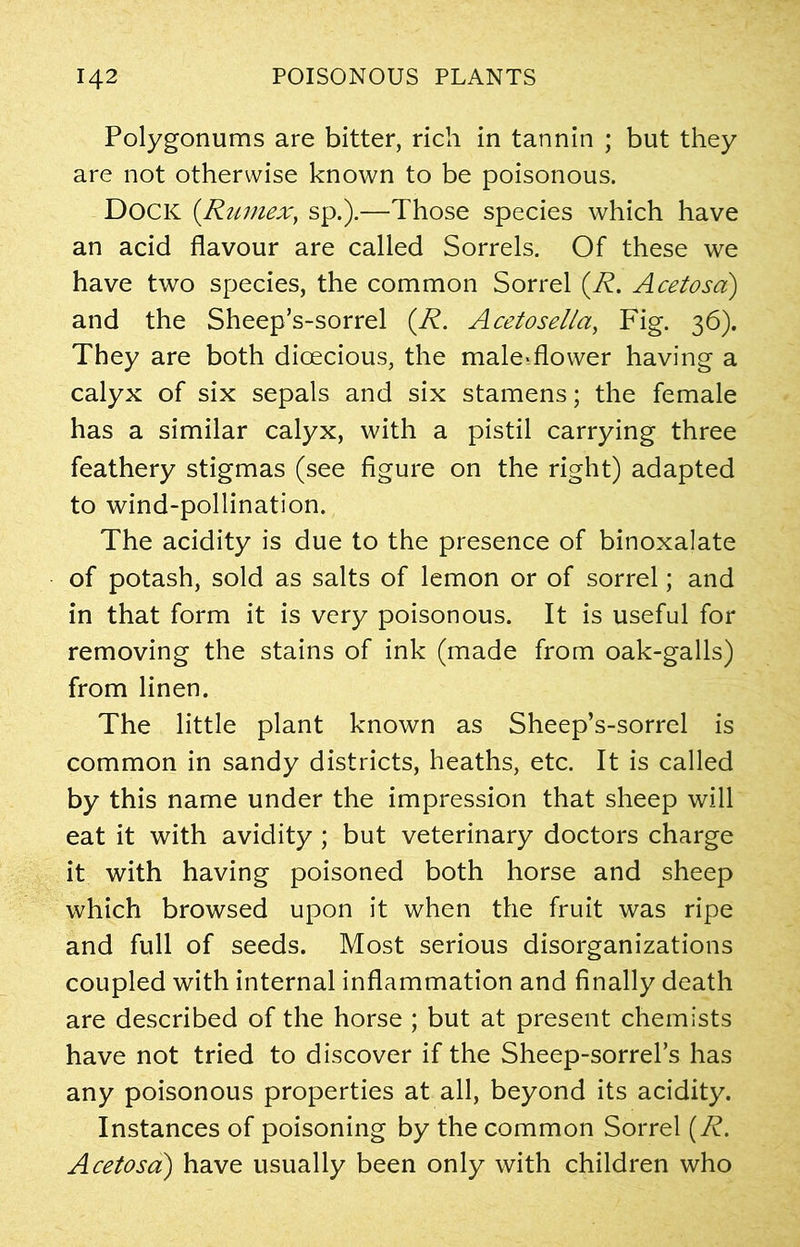 Polygonums are bitter, rich in tannin ; but they are not otherwise known to be poisonous. Dock (Rumex, sp.).—Those species which have an acid flavour are called Sorrels. Of these we have two species, the common Sorrel (R. Acetosa) and the Sheep’s-sorrel (R. Acetosella, Fig. 36). They are both dioecious, the male-flower having a calyx of six sepals and six stamens; the female has a similar calyx, with a pistil carrying three feathery stigmas (see figure on the right) adapted to wind-pollination. The acidity is due to the presence of binoxalate of potash, sold as salts of lemon or of sorrel; and in that form it is very poisonous. It is useful for removing the stains of ink (made from oak-galls) from linen. The little plant known as Sheep’s-sorrel is common in sandy districts, heaths, etc. It is called by this name under the impression that sheep will eat it with avidity ; but veterinary doctors charge it with having poisoned both horse and sheep which browsed upon it when the fruit was ripe and full of seeds. Most serious disorganizations coupled with internal inflammation and finally death are described of the horse ; but at present chemists have not tried to discover if the Sheep-sorrel’s has any poisonous properties at all, beyond its acidity. Instances of poisoning by the common Sorrel (R. Acetosa) have usually been only with children who