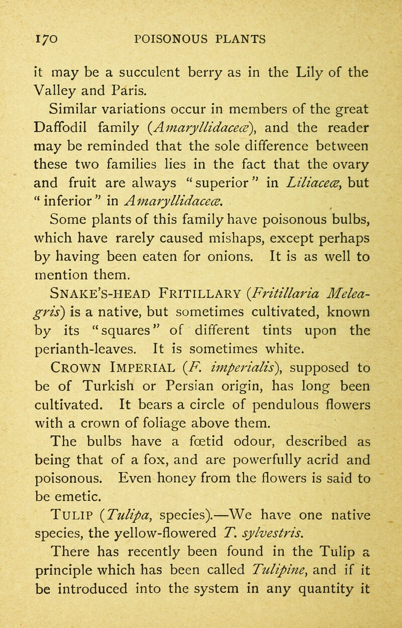 it may be a succulent berry as in the Lily of the Valley and Paris. Similar variations occur in members of the great Daffodil family (Amaryllidacea?), and the reader may be reminded that the sole difference between these two families lies in the fact that the ovary and fruit are always “ superior ’* in Liliacece, but “ inferior ” in A maryllidacece. Some plants of this family have poisonous bulbs, which have rarely caused mishaps, except perhaps by having been eaten for onions. It is as well to mention them. Snake’s-iiead Fritillary (Fritillaria Melea- gris) is a native, but sometimes cultivated, known by its “squares” of different tints upon the perianth-leaves. It is sometimes white. Crown Imperial (.F\ imperialist, supposed to be of Turkish or Persian origin, has long been cultivated. It bears a circle of pendulous flowers with a crown of foliage above them. The bulbs have a foetid odour, described as being that of a fox, and are powerfully acrid and poisonous. Even honey from the flowers is said to be emetic. Tulip (Tulipa, species).—We have one native species, the yellow-flowered T. sylvestris. There has recently been found in the Tulip a principle which has been called Tulipine, and if it be introduced into the system in any quantity it