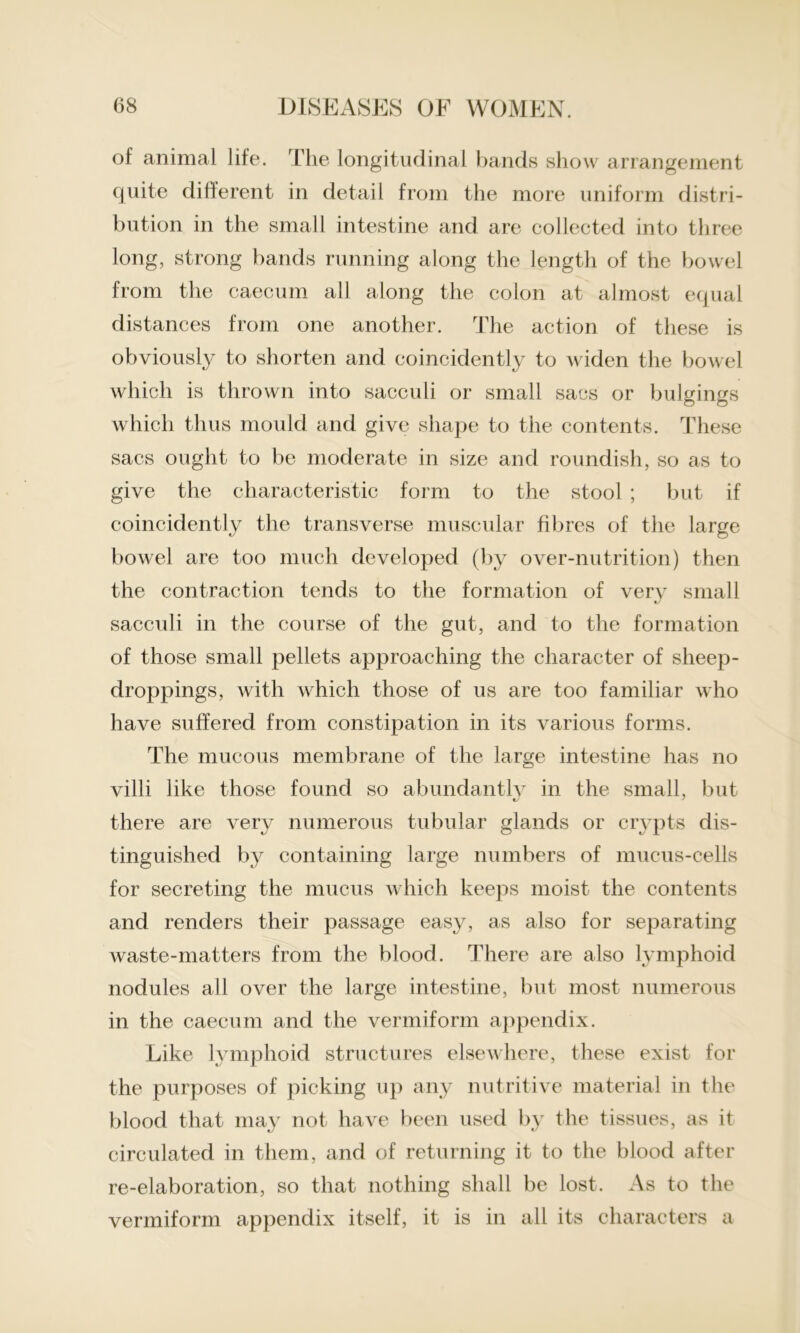 of animal life. The longitudinal bands show arrangement quite different in detail from the more uniform distri- bution in the small intestine and are collected into three long, strong bands running along the length of the bowel from the caecum all along the colon at almost equal distances from one another. The action of these is obviously to shorten and coincidently to widen the bowel which is thrown into sacculi or small sacs or bulgings which thus mould and give shape to the contents. These sacs ought to be moderate in size and roundish, so as to give the characteristic form to the stool ; but if coincidently the transverse muscular fibres of the large bowel are too much developed (by over-nutrition) then the contraction tends to the formation of very small sacculi in the course of the gut, and to the formation of those small pellets approaching the character of sheep- droppings, with which those of us are too familiar who have suffered from constipation in its various forms. The mucous membrane of the large intestine has no villi like those found so abundantly in the small, but there are very numerous tubular glands or crypts dis- tinguished by containing large numbers of mucus-cells for secreting the mucus which keeps moist the contents and renders their passage easy, as also for separating waste-matters from the blood. There are also lymphoid nodules all over the large intestine, but most numerous in the caecum and the vermiform appendix. Like lymphoid structures elsewhere, these exist for the purposes of picking up any nutritive material in the blood that may not have been used by the tissues, as it circulated in them, and of returning it to the blood after re-elaboration, so that nothing shall be lost. As to the vermiform appendix itself, it is in all its characters a