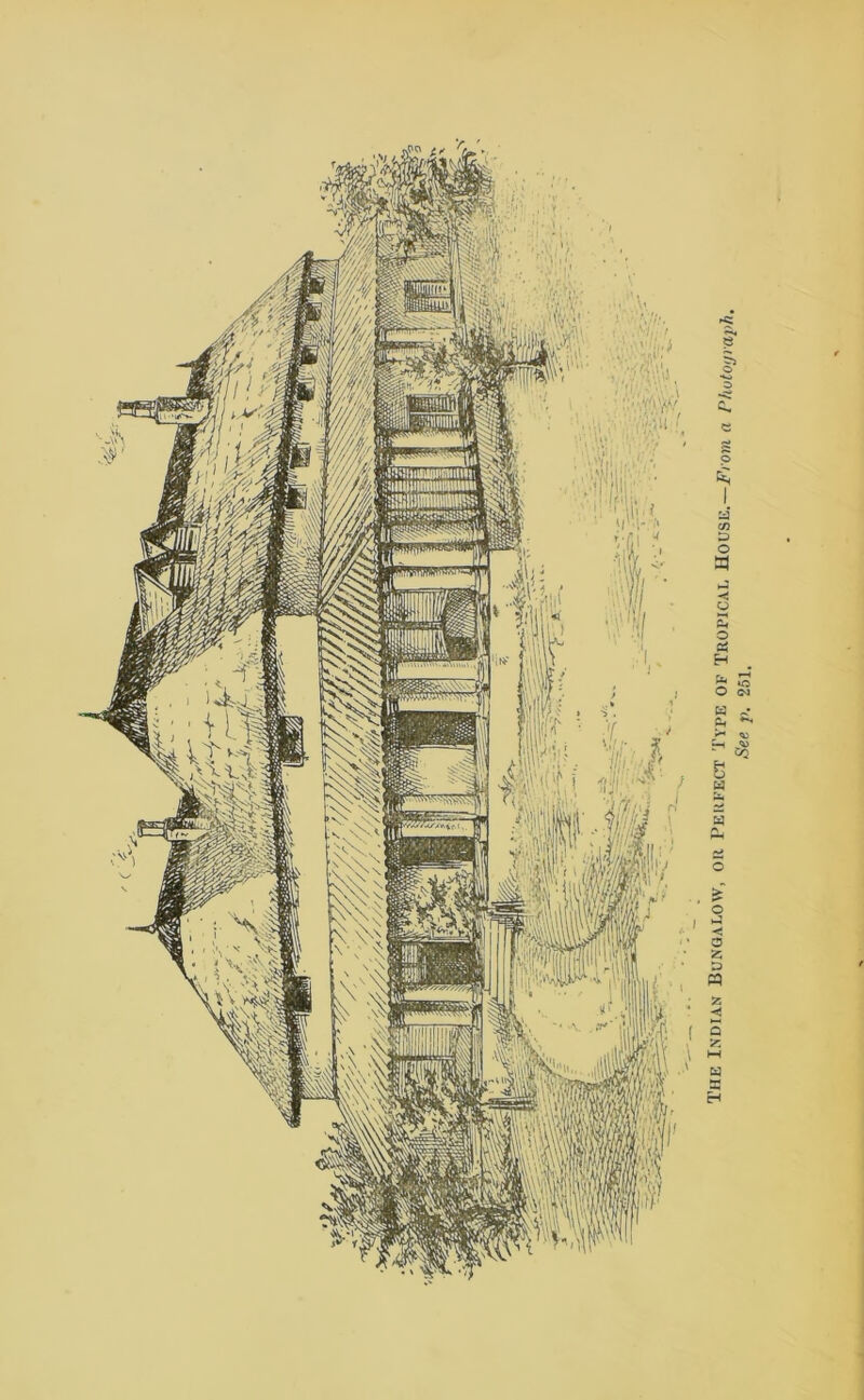 The Indian Bungalow, on Perfect Type of Tropical House.-From a Phutoymph. See p. 251.