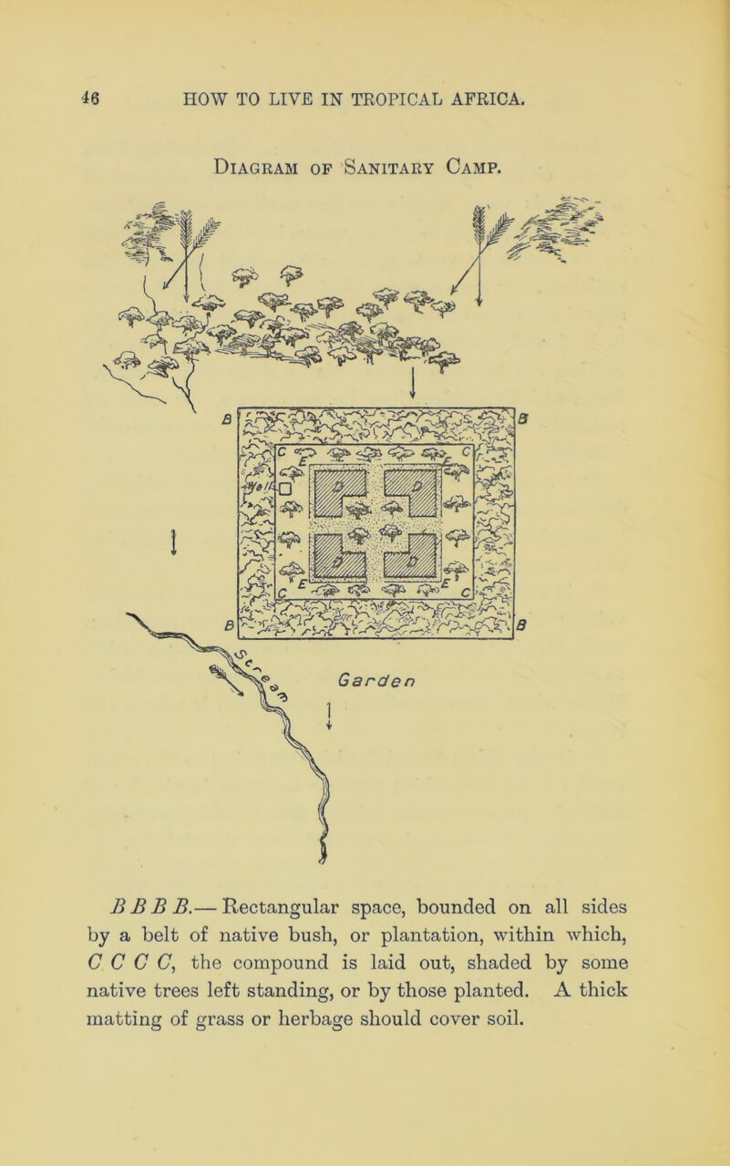 Diagram of Sanitary Camp. B B B B.— Rectangular space, bounded on all sides by a belt of native bush, or plantation, within which, C C C C, the compound is laid out, shaded by some native trees left standing, or by those planted. A thick matting of grass or herbage should cover soil.