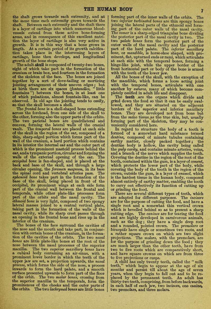 the shaft grows towards each extremity, and at the same time each extremity grows towards the shaft. Between each extremity and the shaft there is a layer of cartilage into which numerous blood- vessels extend from these active bone-forming areas, and in consequence of this excellent nutri- tion the layer of cartilage is also very active in growth. It is in this way that a bone grows in length. At a certain period of its growth calcifica- tion takes place in the intervening layers of cartilage, bone then develops, and longitudinal growth of the bone stops. The adult skull is composed of twenty-two bones, eight of which take part in the formation of the cranium or brain box, and fourteen in the formation of the skeleton of the face. The bones are joined together by a sort of dove-tailing or morticing jointing arrangement of their uneven edges; but at birth there are six spaces {fontanelles, “ little fountains ”) between the bones, in at least one of which pulsations, almost fountain-like, can be observed. In old age the jointing tends to ossify, so that the skull becomes a shell. The frontal bone is a shell-shaped bone extending across the forehead, from one side of the skull to the other, forming also the upper parts of the orbits. The two parietal bones are quadrilateral and convex, forming the lateral walls of the cranial vault. The temporal bones are placed at each side of the skull in the region of the ear, composed of a thin, sharp-edged portion which forms part of the wall of the cranium, a hard portion which contains in its interior the internal ear and the outer part of which is the prominent mastoid process behind the ear, and a tympanic portion, circular and forming the walls of the external opening of the ear. The occipital bone is fan-shaped, and is placed at the back and base of the skull, and through a large circular opening, the foramen magnum, in its base the spinal cord and vertebral arteries pass. The sphenoid bone takes part in the formation of the base of the skull, being placed in front of the occipital, its prominent wings at each side form part of the cranial wall between the frontal and temporals, while other plate-like processes form part of the orbits and the nasal cavity. The ethmoid bone is very light, composed of two spongy lateral masses joined to a central vertical plate, taking part in the formation of the walls of the nasal cavity, while its sharp crest passes through an opening in the frontal bone and rises up in the interior of the cranium. The bones of the face surround the cavities of the nose and the mouth and take part, in conjunc- tion with certain bones of the cranium, in the forma- tion of the cavities of the orbits. The two nasal bones are little plate-like bones at the root of the nose between the nasal processes of the superior maxillse. The two superior maxillary bones have a cubical body containing an air-sinus, with a prominent lower border in which the teeth of the upper jaw are set, a projection upwards, the nasal process, which forms the side of the nose, a process inwards to form the hard palate, and a smooth surface presented upwards to form part of the floor of the orbit. The two malar bones, crossing from the superior maxillae to the temporals, form the prominences of the cheeks and the outer parts of the orbits. The two lachrymal bones are little bones 7 forming part of the inner walls of the orbits. The two inferior turbinated bones are thin spongy bones joining the lateral parts of the ethmoid and form- ing part of the outer walls ‘of the nasal cavity. The vomer is a sharp-edged triangular bone dividing the posterior part of the nasal cavity in two. The two palate bones form the posterior part of the outer walls of the nasal cavity and the posterior part of the hard palate. The inferior maxillary bone, or mandible, is horse-shoe shaped, with pro- minent, flat, upturned ends or rami, which articulate at each side with the temporal bones, forming a hinge-like joint, while the upper border of the front horizontal part or body of the bone is armed with the teeth of the lower jaw. All the bones of the skull, with the exception of the mandible, which forms a loose acting joint with the temporal bones, articulate with one another by sutures, many of which become com- pletely ossified in adult life and disappear. The teeth are the organs which divide and grind down the food so that it can be easily swal- lowed, and they are situated on the adjacent borders of the superior and inferior maxillary bones. They are developed not from bone but from the same tissue as the true skin, but, usually forming part of the skeleton, they may be con- veniently considered here. In regard to structure the body of a tooth is formed of a somewhat hard substance termed dentine, composed of minute tubules containing earthy matter, closely packed together; the dentine body is hollow, the cavity being called the pulp cavity, and contains minute arteries, veins, and a branch of the nerve which supplies the teeth. Covering the dentine in the region of the root of the tooth, contained within the gum, is a layer of cement, which protects the lower part of the body, while covering the body of the tooth in the region of the crown, outside the gum, is a layer of enamel, which is the hardest tissue in the human body, composed almost entirely of earthy matter, enabling the tooth to carry out effectively its function of cutting up or grinding the food. There are several different types of teeth, which are adapted for different purposes. The incisors are for the purpose of cutting the food, and have a single root and a somewhat thin vertical crown which is bevelled behind so as to present a sharp cutting edge. The canines are for tearing the food and are highly developed in carnivorous animals, such as the dog ; they have a single deep root and a rounded, pointed crown. The premolars or bicuspids have single or sometimes two roots, and a rather square crown on which are two slight projections. The molars, with the premolars, are for the purpose of grinding down the food; they are much larger than the other teeth, have from two to five roots which are comparatively short, and have square crowns on which are from three to five projections or cusps. A child has only twenty teeth, called the “ milk teeth,” which begin to appear at the age of six months and persist till about the age of seven years, when they begin to fall out and to be re- placed by the permanent teeth. An adult has thirty-two teeth, comprising, from before backwards, in each half of each jaw, two incisors, one canine, two premolars, and three molars.