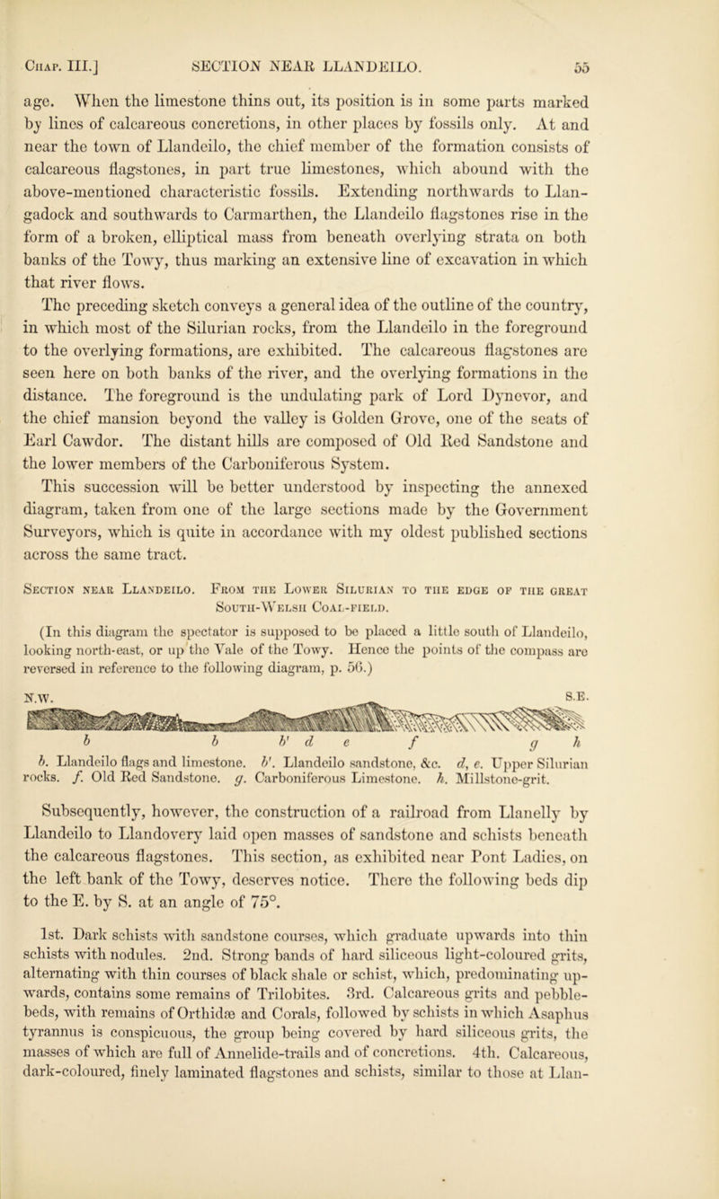 age. When the limestone thins out, its position is in some parts marked lines of ealcareous concretions, in otlier places by fossils only. At and near the town of Llandeilo, the chief member of the formation consists of calcareous flagstones, in part true limestones, which abound with the above-mentioned characteristic fossils. Extending northwards to Llan- gadock and southwards to Carmarthen, the Llandeilo flagstones rise in the form of a broken, elliptical mass from beneath overlying strata on both banks of the Towy, thus marking an extensive line of excavation in which that river flows. The preceding sketch conveys a general idea of the outline of the country’, in which most of the Silurian rocks, from the Llandeilo in the foreground to the overlying formations, are exhibited. The calcareous flagstones are seen here on both banks of the river, and the overlying formations in the distance. The foreground is the undulating park of Lord Dynevor, and the chief mansion beyond the valley is Golden Grove, one of the seats of Earl Cawdor. The distant hills are composed of Old lied Sandstone and the lower members of the Carboniferous System. This succession will be better understood by inspecting the annexed diagram, taken from one of the large sections made by the Government Surveyors, which is quite in accordance with my oldest published sections across the same tract. Section near Llandeilo. From the Lower Silurian to the edge of the great South-Welsh Coai.-field. (In this diagram the spectator is supposed to be placed a little south of Llandeilo, looking north-east, or up'tlie Vale of the Towy. Hence the points of the compass are reversed in reference to the following diagram, p. 50.) i h h' d e f g h b. Llandeilo flags and limestone, b'. Llandeilo sandstone, &c. d, e. Upper Silurian rocks. /. Old Red Sandstone, g. Carboniferous Limestone, h. INIillstone-grit. Subsequently, however, the construction of a railroad from Llanelly by Llandeilo to Llandovery laid open masses of sandstone and schists beneath the calcareous flagstones. This section, as exhibited near Pont Ladies, on the left bank of the Towy, deserves notice. There the following beds dip to the E. by S. at an angle of 75°. 1st. Dark schists with sandstone courses, which graduate upwards into thin schists with nodules. 2nd. Strong bands of hard siliceous light-coloured grits, alternating with thin courses of black shale or schist, which, predominating up- wards, contains some remains of Trilobites. 3rd. Calcareous grits and pebble- beds, with remains of Orthidm and Corals, followed by schists in which Asaphus tyrannus is conspicuous, the group being covered by hard siliceous grits, the masses of which are full of Annelide-trails and of concretions. 4th. Calcareous, dark-coloured, finely laminated flagstones and schists, similar to those at Llan-