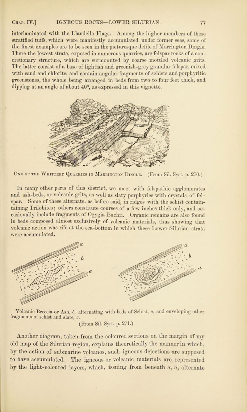 interlaminated with the Llandeilo Flags. Among the liigher members of these stratified tufts^ which were manifestly accumulated under former seas, some of the finest examples are to be seen in the picturesque defile of Marrington Dingle. There the lowest strata, exposed in numerous quarries, are felspar rocks of a con- cretionary structure, which are surmounted by coarse mottled volcanic giits. The latter consist of a base of lightish and greenish-grey granular felspar, mixed with sand and chlorite, and contain angular fragments of schists and porphyritic greenstones, the whole being arranged in beds from two to four feet thick, and dipping at an angle of about 40°, as expressed in this vignette. One of the Wiiittery Quarries in Marrington Dingle. (From Sil. Syst. p. 270.) In many other parts of this district, we meet with felspathic agglomerates and ash-beds, or volcanic grits, as well as slaty porphyries with crystals of fel- spar. Some of these alternate, as before said, in ridges with the schist contain- taining Trilobites; others constitute courses of a few inches thick only, and oc- casionally include fragments of Ogygia Buchii. Organic remains are also found in beds composed almost exclusively of volcanic materials, thus showing that volcanic action was rife at the sea-bottom in which these Lower Silurian strata were accumulated. Volcanic Rreccia or Ash, h, alternating witli beds of Schi.st, a, and enveloping other fragments of schist and slate, c. (From Sil. Syst. p. 271.) Another diagram, taken from the coloured sections on the margin of my old map of the Silurian region, explains theoretically the manner in which, by the action of submarine volcanos, such igneous dejections are supposed to have accumulated. The igneous or volcanic materials arc represented by the light-coloured layers, which, issuing from beneath a, a, alternate