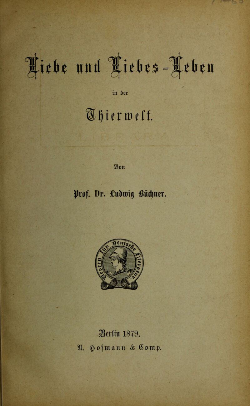 %hbt tuul Sfjierroeff. Sßerfin 1879. 1. §oftnann & Gomp.