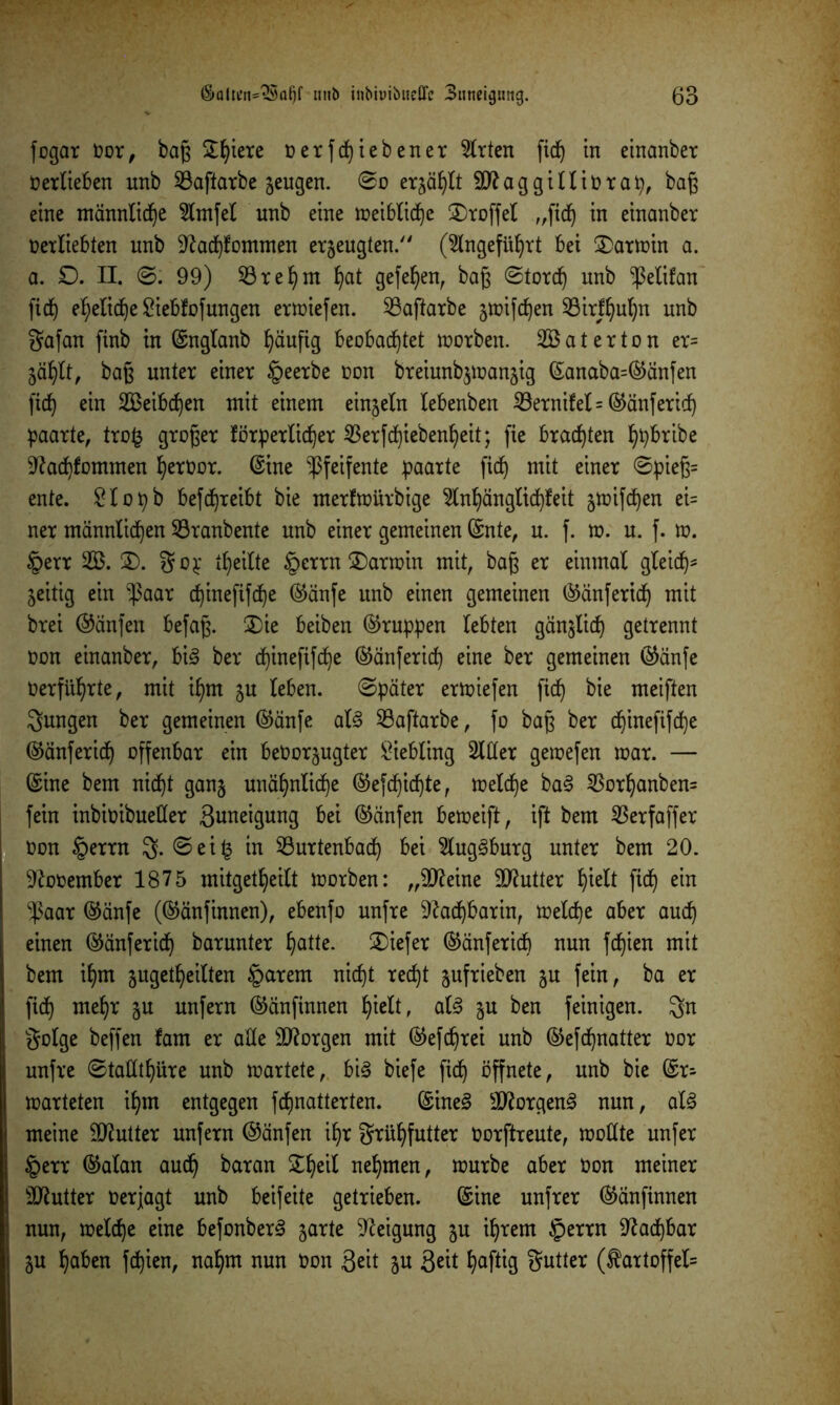 fogar Vor, baß Spiere verfepiebener Wirten fid^ in einanber Verlieben unb SBaftarbe zeugen. ©o erjagt äftaggiltivraty, baß eine männliche 5lmfet unb eine meibtiepe S)roffet „fiep in einanber verliebten unb 9?aepfontmen erzeugten. (Slngefüprt bei Sarmin a. a. 0. II. ©: 99) 23repm pat gefe^enf baß ©torcp unb ^etifan fiep epeticpe £iebfofungen erliefen. 33aftarbe z*mfcpen 23ir|pupn unb gafan finb in (Sngtanb häufig beobacptet morben. 2B a t e r t o n er= Zäplt, baß unter einer ipeerbe von breiunbjtvanjig (Sanaba=©einfen ficf) ein 2Beib(f)en mit einem einzeln tebenben iöernifel= ^änfericf) paarte, tro§ großer förperticper SSerfcpiebenpeit; fie brachten ptybribe Sftacpfommen pervor. (Sine -ßfeifente paarte fid^ mit einer ©pieß= ente. £topb befcfjreibt bie merfmürbige 5tnpängliepfeit jtvifcpen ei= ner manntiipen S3ranbente unb einer gemeinen (Snte, u. f. m. u. f. m. §err 2B. S). gop feilte §errn S)armin mit, baß er einmal gteicp* zeitig ein -paar epinefifcpe (Sänfe unb einen gemeinen ©änfericp mit brei (hänfen befaß. S)ie beiben (Gruppen lebten gänzlicp getrennt von einanber, bi3 ber epinefifcpe ©änfericp eine ber gemeinen ©änfe Verführte, mit ipm zu leben, ©päter ermiefen fiep bie meiften jungen ber gemeinen ©änfe at§ 23aftarbe, fo baß ber epinefifcpe (Sänfericp offenbar ein bevorzugter Liebling Sitter gemefen mar. — (Sine bem niept ganz unäpnlicpe ©efepiepte, metepe ba§ 23orpanben= fein inbivibuetter Suneigung bei ©änfen bemeift, ift bem 53erfaffer von §errn $. ©ei£ in 53urtenbacp bei Slug§burg unter bem 20. November 1875 mitgetpeilt morben: „SD^eine Butter pielt fiep ein ^ßaar @änfe (©änfinnen), ebenfo unfre ^aepbarin, tvelcpe aber auep einen ©änferiep barunter patte. Sief er ©änferiep nun fepien mit bem ipm zugetpeilten §arem niept reept zufrieben zu fein, ba er fiep mepr zu unfern ©änfinnen pielt, at3 zu ben feinigen. gn gotge beffen fam er alte borgen mit ©efeprei unb ©efepnatter vor unfre ©tatttpiire unb martete, bi§ biefe ficf) öffnete, unb bie (Sr- marteten ipm entgegen fepnatterten. (Sine3 ÜftorgenS nun, aU meine Butter unfern ©änfen ipr grüpfutter Vorftreute, mottte unfer §err ©atan auep baran Speit nepmen, mürbe aber Von meiner Butter verjagt unb beifeite getrieben, ©ine unfrer ©änfinnen nun, metepe eine befonber3 za*te Neigung zu iprem §errn Siacpbar Zu paben fepien, napm nun Von Seit zu Seit paftig gutter ($artoffel=