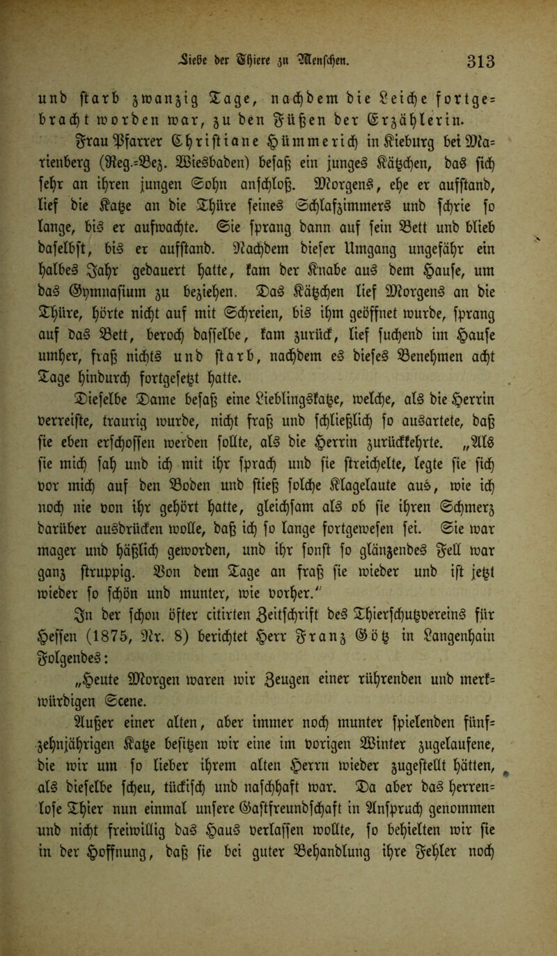 unb ftarb zwanzig £age, nadjbem bte £eid)e fortge= bracht worben war, ju ben Süßen ber Gsrzäljlerin. grau Pfarrer ©Ijriftiane §ümmeridj intieburg bet9Jto= rtenberg (3teg.=53ez. SBieSbaben) befaß ein junget $äfcd)en, baS fid) feljr an it)ren jungen ©oljn anfd)toß. dftorgenS, el)e er aufftanb, lief bte $a£e an bie SEIjüre feinet ©djlafzimmerS unb fdjrie fo lange, bis er auf wachte, ©ie fprang bann auf fein 53ett unb blieb bafelbft, bis er aufftanb. 3fad)bem biefer Umgang ungefähr ein IjalbeS gafyr gebauert Ijatte, fam ber fnabe auS bem §aufe, um baS (Stymnafium zu beziehen. £>aS $ä£d)en lief Borgens an bie £l)üre, Ijörte nid^t auf mit ©freien, bis itjrn geöffnet würbe, fprang auf baS 53ett, berod) baffelbe, lam §urücf, lief fudjenb im §aufe untrer, fraß nid)tS unb ftarb, nadjbem eS biefeS 53enef)tnen ad)t Sage fyinburd) fortgefe£t tyatte. Siefelbe Same befaß eine £ieblingSfa£e, welche, als bie §errin fcerreifte, traurig würbe, nidjt fraß unb fdjließlidj fo auSartete, baß fie eben erfdjoffeit werben füllte, als bie §errin jurüdffeljrte. „2118 fie mid) fat) unb idj mit if)r fprad) unb fie fheidjelte, legte fie fidj oor mid) auf ben 53oben unb ftieß foldje flagelaute aus, wie id) nod) nie üon iljr gehört fyatte, gleid)fam als ob fie if)ren ©d)merz barüber auSbrüdfen wolle, baß id) fo lange fortgewefen fei. ©ie war mager unb Ijäßlid) geworben, unb ifyr fonft fo glänjenbeS ged war ganz flruppig. 53on bem Sage an fraß fie wieber unb ift je£t wieber fo fcf)ön unb munter, wie üorfyer. Sn ber fdjon öfter citirten Seitfdjrift beS Sfjierfd)u£üereinS für §effen (1875, 3h. 8) berichtet §err granj ®ö§ in £angenf)ain golgenbeS: „tpeute borgen waren wir ßeugen einer rüfyrenben unb merf= würbigen ©eene. 3lußer einer alten, aber immer nod) munter fpielenben fünf= Zehnjährigen fafce befi^en wir eine im hörigen SBinter zugelaufene, bie wir um fo lieber ihrem alten §errn wieber jugefteKt Ratten, als biefelbe fd)eu, tücfifd^ unb naf^aft war. Sa aber baS ^erren= lofe Sljier nun einmal unfere ®aftfreunbfd)aft in ^Infprud) genommen unb nidf)t freiwillig baS §auS Oerlaffen wodte, fo bereiten wir fie in ber Hoffnung, baß fie bei guter 53el)anblung ihre geiler nod)