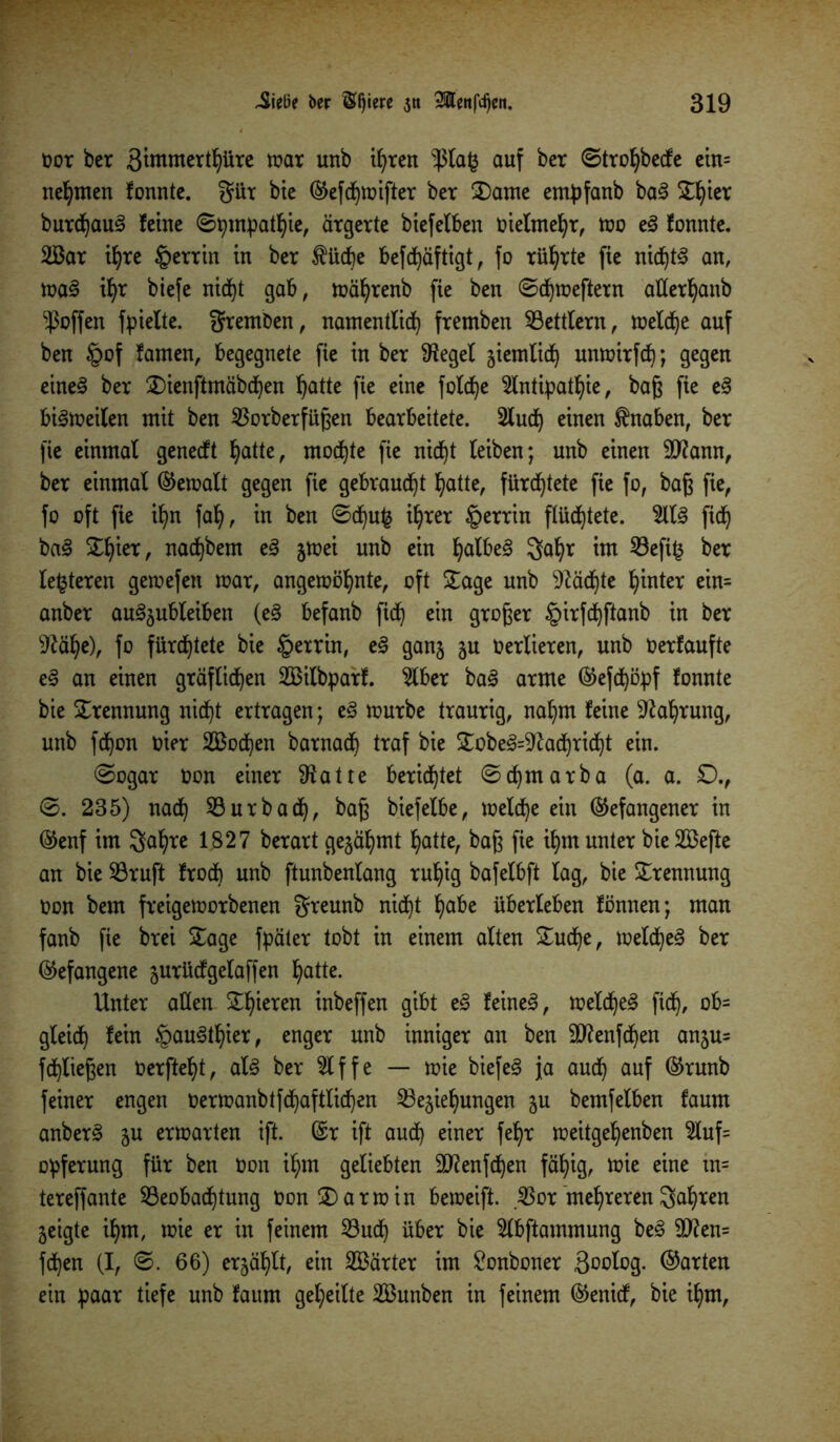 Oor ber 3inmtertJ)üre war unb ihren ^3Ia^ auf ber ©trofybecfe ein= nehmen fonnte. gür bie (befdjwifter ber Same empfanb baS Shier burdjauS feine 0pmpathie, ärgerte biefelben oielmehr, wo eS formte. 2Bar ihre Herrin in ber £ücbe befdjäftigt, fo rührte fie nichts an, waS ihr biefe nicht gab, währenb fie ben ©d)weftern aßerhanb hoffen fpielte. Sremöen, namentlich fremben Bettlern, welche auf ben §of farnen, begegnete fie in ber Sftegel ziemlich unwirfch; gegen eines ber S)ienftntäb(hen hatte fie eine folche Antipathie, baß fie eS bisweilen mit ben Borberfüßen bearbeitete. Auch einen Knaben, ber fie einmal geneeft hatte, mochte fie nicht leiben; unb einen 9ftann, ber einmal Gewalt gegen fie gebraucht hatte, fürchtete fie fo, bafj fie, fo oft fie ihn fah, in ben ©chufc ihrer §errin flüchtete. AIS fich baS Schier, nacf)bem eS jwei unb ein halbes Sah* im Befi£ ber lederen gewefen war, angewöhnte, oft Sage unb Mächte hinter ein= anber auSjubleiben (eS befanb fich ein großer §irfchftanb in ber ^ähe), fo fürstete bie §errin, eS ganz ju oerlieren, unb Oerfaufte eS an einen gräflichen SBilbparf. Aber baS arme ©efd)öpf fonnte bie Trennung nicht ertragen; eS würbe traurig, nahm feine Nahrung, unb fchon oier Wochen barnach traf bie SobeS=-ftad)richt ein. @ogar oon einer Üiatte berietet ©chmarba (a. a. £)., <S. 235) nach 53 urbach, baß biefelbe, welche ein (befangener in (benf im Sahre 1827 berart gezähmt hatte, baß fie ihm unter bie2Bef!e an bie Bruft froeb unb ftunbenlang ruhig bafelbft lag, bie Trennung Oon bem freigeworbenen greunb nicht habe überleben fönnen; man fanb fie brei Sage fpäter tobt in einem alten Suche, weites ber (befangene jurücfgelaffen hatte. Unter aßen Steren inbeffen gibt eS feineS, welches fich/ °^s gleich fein §auSthier, enger unb inniger an ben Sttenfdhen anju= fdfyließen Oerfteht, als ber Affe — wie biefeS ja auch auf (brunb feiner engen t>erwanbtfchaftlid)en Beziehungen ju bemfelben faum anberS ju erwarten ift. (br ift auch einer feljr weitgeljenben Auf= Opferung für ben Oon ihm geliebten ßttenfehen fähig, wie eine tn= tereffante Beobachtung oonSarwin beweift. Bor mehrerenSalden Zeigte ihm, wie er in feinem Buch über bie Abftammung beS ßften= fchen (I, ©. 66) erzählt, ein SBärter im £onboner ßoolog. ©arten ein paar tiefe unb faum geheilte 2Bunben in feinem ©enief, bie ihm,