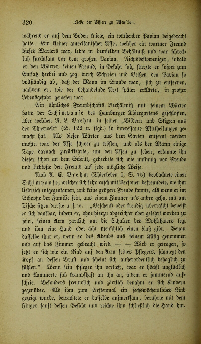 mäf)renb er auf beut Soben fniete, ein mütljenber -ßaoian beigebradjt hatte. ©in fleiner amerifanifdjer 5lffe, melier ein marmer greunb biefeS SBärterS mar, lebte in bemfelben Sehältniß unb mar fd)recf= lief) furdjtfam oor bem großen Fabian. 9?idjtSbeftomeniger, fobalb er ben 2Bärter, feinen greunb, in ©efaljr fah, fiürjte er fofort jurn ©ntfa£ ^erbei unb 50g burdj ©freien unb Zeigen ben Fabian fo Oottftänbig ab, baß ber Sftann im ©tanbe mar, fid) §u entfernen, nad)bem er, mie ber beljanbelnbe 5lrjt fpäter erflärte, in großer ?eben§gefal)r gemefen mar. ©in ähnliches greunbfd)aftS = $erhältniß mit feinem härter hatte ber ©eh t mp an fe beS §amburger £f>iergartenS gefdfjloffen, über melden 9?. 2. SÖrehm in feinen „Silbern unb ©fijjen auS ber SE^tertoelt (©. 122 u. flgb.) fo intereffante TOttheilungen ge= macht hal- 5llS biefer 2Bärter auS bem ©arten entfernt merben mußte, mar ber 5lffe ferner ju tröffen, unb als ber 9ftann einige £age barnach ^urüdfeljrte, um ben Riffen ju fehen, erfannte ihn biefer fcf)on an bem ©chritt, geberbete fid) mie unfinnig bor greube unb liebfofte ben greunb auf jebe mögliche Sßeife. 2lud) 51. ©. Srehm (^h^e^en h 75) beobachtete einen © cf).i m p a n f e, melier fief) fehr rafef) mit ^erfonen befreunbete, bie ihm liebreich entgegenfamen, unb feine größere greube fannte, als menn er im ©cf)ooße ber gamilie fein, auS einem Zimmer in’S anbre gehn, mit am £ifd)e fif$en burfte u. f. m. „Sefd)enft ober freubig überrafcf)t bemeift er [ich banfbar, inbem er, ohne hierzu abgerid)tet ober gelehrt morben gu fein, feinen 5lrm järtlidj um bie ©d)ulter beS 2ßof)lthäterS legt unb ihm eine §anb ober acht tttenfd)lid) einen £uß gibt, ©enau baffelbe thut er, menn er beS 5lbenbS auS feinem $äfig genommen unb auf baS gimmer gebraut mirb. 2Birb er getragen, fo fefet er fid) mie ein f inb auf ben 5lrm feines -PftegerS, fchmiegt ben topf an beffen Sruft unb fcheint fid) außerorbentlidj behaglich $u fühlen. 2Benn fein Pfleger ihn Oerließ, mar er f)öd)ft unglitdlid) unb flammerte fid) frampfhaft an ihn an, inbem er jammernb auf« fchrie. SefonberS freunblich unb järtlid) benahm er fid) ^inbern gegenüber. 5llS ihm jum ©rftenmal ein fechSmöchentlicheS finb gezeigt mürbe, betrachtete er baffelbe aufmerffam, berührte mit bem ginger fanft beffen ©efid)t unb reichte ihm fd)ließtid) bie §>anb hin-