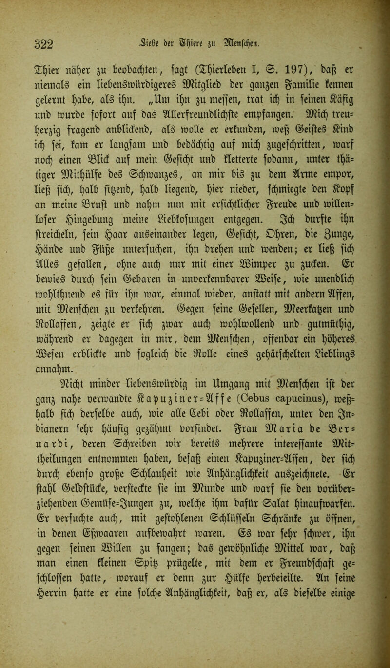 Steter näher beobachten, fagt (ST^tetleben I, ©. 197), baß er niemals ein lieben3mürbigere§ äftitglieb ber ganzen gamitie fennen gelernt habe, al§ if)n. „Um ihn $u meffen, trat xdb) in feinen $äfig nnb mürbe fofort auf ba§ Merfreunblichfte empfangen, äftid) treu= ^erjxg fragenb anblicfenb, al<3 motte er erfunben, meg ©eifte§ $inb ich fei, tarn er Icmgfam unb bebächtig auf mich äugefchritten, marf no<h einen Sölicf auf mein ©eficht unb fletterte fobann, unter t^ä= tiger Sütithülfe be§ ©chmanjeS, an mir bi§ ju bem 2lrme empor, lieg ftdj, halb fifcenb, halb liegenb, h^er uieber, fdjmiegte ben $opf an meine S3ruft unb nahm nun mit erfichtlicher greube unb mitten* lofer Eingebung meine £iebfofungen entgegen. 3dj burfte ihn ftreicpeln, fein £>aar au§einanber legen, ©eficf)t, 0hrctt^ bk Sunge, §änbe unb f^itge unterfud)en, ihn brehen unb menben; er lieg fich 2llte3 gefallen, ohne auch nur mit einer SBimper ju gucfen. ©r bemie§ burd) fein Gebaren in untierfennbarer 2ßeife, mie unenblich mohlthuenb e§ für ihn mar, einmal mieber, anftatt mit anbern Riffen, mit ttRenfchen 51t Oerfehren. ©egen feine ©efellen, 90?eerfa£en unb 9Maffen, geigte er fich S^ar aud) mohlmottenb unb gutmütig, mährenb er bagegen in mir, bem ttflenfchen, offenbar ein f)öf)exe§ 2ßefen erblicfte unb fogleid) bie SftoKe eine<3 gepätfchelten £iebling§ annahm. ^idjt minber lieben§mürbig im Umgang mit äftenfchen ift ber ganj nahe oermanbte $apu§iner = 2lffe (Cebus capucinus), meg= halb fich berfelbe auch, *oie atte ©ebi ober IRotlaffen, unter ben 3n* bianern fetjr häufig gejähmt oorfinbet. grau ttftaria be $8er = narbi, beren (Schreiben mir bereite mehrere intereffante ttftit* theilungen entnommen haben, befag einen $apuäiner=$tffen, ber fich burch ebenfo groge ©Flauheit mie 2lnhänglichfeit au^eidjnete. ©r ftahl ©elbftüde, tierftedte fie im ttftunbe unb marf fie ben tiorüber* jiehenben ©emüfe=gungen 5U, meld)e ihm bafür ©alat hiuaufmarfen. ©r oerfuchte auch, mit gestohlenen ©djlüffeln ©chränfe ju öffnen, in benen ©gmaaren aufbemahrt maren. ©<§ mar fehr ferner, ihn gegen feinen ^Bitten ju fangen; ba$ gemöhnliche Mittel mar, bag man einen fleinen ©pi£ prügelte, mit bem er greunbfd)aft ge= fchloffen hatte, morauf er benn gur §ülfe h^beieilte. 2ln feine §errin hatte er eine fofehe 5lnhänglichfeif, bag er, al3 biefelbe einige