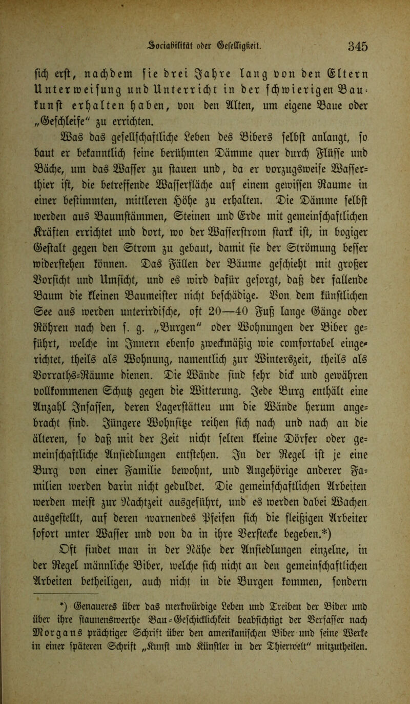 fid) erft, nad)bem fie brei Sahre lang bon bcn ©Itern Unter roeifung unb Unterrtd)t in ber fchmierigen Sau = funft erhalten haben, bon ben eilten, um eigene Saue ober „©efdfleife ju errichten. 2Ba<3 ba§ gefeüfcf)aftlid)e 2eben be§ SiberS felbft anlangt, fo baut er befanntlid) feine berühmten tDämme quer burd) glüffe unb Säd)e, um ba<8 SBaffer ju flauen unb, ba er borjugSroeife S3affer= tf)ier ift, bie betreffenbe Sßafferflädje auf einem gemiffen Staunte in einer beftimmten, mittleren §öl)e ju erhalten. £)ie £>ämme felbft merben au<§ Saumftämmen, ©teinen unb ©rbe mit gemeinfd)aftlicf)en Kräften errietet unb bort, mo ber Sßafferftrom ftarf ift, in bogiger ©eftalt gegen ben ©trom ju gebaut, bamit fte ber ©trömung beffer tniberfte^en fönnen. 2)a§ gälten ber Säume gefcfjie^t mit großer Sorfid)t unb Umfic^t, unb eß toirb bafür geforgt, baß ber fallenbe Saum bie fleinen Saumeifter nid)t befcbäbige. Son bem fünftlidfyen ©ee anß roerben unterirbifdje, oft 20—40 guß fange ©änge ober Stohren nad) ben f. g. „Surgen ober SBofynungen ber Siber ge= führt, meld)e im Innern ebenfo jmedmäßig tote comfortabel einge»* rid)tet, tfyeil3 al§ Sßohnung, namentlich jur SßinterSjeit, *heil§ al3 Sorrath3=Stäume bienen. £)ie Sßänbe finb feE)r bid unb gemäßen boßfommenen ©d)u^ gegen bie Sßitterung. 3^be Surg enthält eine Anjahl Snfaffen, beren £agerftätteu um bie 2Bänbe herum ange= bracht finb. jüngere $30jjnfi£e reihen fid) nach unb nach an bie älteren, fo baß mit ber Seit nicht feiten Heine Dörfer ober ge= meinfd)aftliche Anfieblungen entfielen. 3n ber Flegel ift je eine Surg bon einer gamitie bewohnt, unb Angehörige anberer ga= milien werben barin nicht gebulbet. ®ie gemeinfchaftlichen Arbeiten werben meift jur Stachtjeit au^geführt, unb eß werben babei 2Bad)en au3gefteüt, auf beren -warnenbeS pfeifen fid) bie fleißigen Arbeiter fofort unter Sßaffer unb bon ba in ihre Serftede begeben.*) £)ft finbet man in ber Stäl)e ber Anfieblungen einzelne, in ber Siegel männliche Siber, treidle fich nicht an ben gemeinfchaftlichen Arbeiten betheiligen, auch nicht in bie Surgen fotnmen, fonbern *) ©enauereS über ba§ merfmürbige Sieben unb Treiben ber Siber unb über ihre ftaunenSwerdje Sau * ©efchidtidjfeit beabfuhtigt ber Serfaffer nach 2Jtorgan§ prächtiger ©djrift über ben auieritanifchen Siber unb feine SEßerfe in einer fpäteren ©cbrift „Äunfi unb Zünftler in ber Shternj'elt ntitjutheilen.