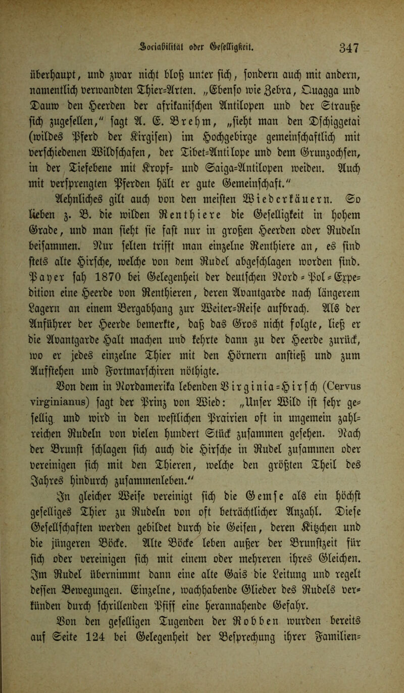 überhaupt, unb gwar nid)t bloß unter fidf), fonbern aud) mit anbern, namentlich oerwanbten ^f)^er=^rten- >/®benfo wie 3ßbra, Duagga unb £)auw ben beerben ber afrifanifd)en Antilopen unb ber Strauße fidh äugefeüen, fagt 51. (£. 33ret)m, „fietjt man ben £>fd)iggetai (wilbe3 -ßferb ber $irgifen) im Hochgebirge gemeinfd)aftlid) mit Oerfdjiebenen 2Bilbfdjafen, ber £ibet=5lntilope unb bem (Grun^ochfen, in ber Tiefebene mit $ropf= unb Saiga=5lntilopen meibeu. 9tud) mit Oerfprengten ^ferben hält er gute Gemeinschaft. 5tehnlid)e3 gilt auch ^on öen meiften 2Biebcrfäuern. So lieben §. 33. bie wilben ^entpiere bie (Gefefligfeit in tj°hem (Grabe, unb man fieht fie faft nur in großen §eerben ober Rubeln beifammen. 9tur feiten trifft man einjelne Dtenttjiere an, e§ finb ftet§ alte Hirfche, welche oon bem SRubel abgefchlagen worben finb. ■Paper fah 1870 bei (Gelegenheit ber beutfchen 9?orb * -Pol*@p:pe= bition eine H^erbe Oon fHent^ieren, beren 5loantgarbe nach längerem Sägern an einem 33ergabljang jur 2öeiter=3f?eife aufbrach. 5113 ber Anführer ber Hee^e bemerfte, baß ba3 (Gro3 nicht folgte, ließ er bie 5loantgarbe Halt machen unb lehrte bann $u ber Hßel^ß snrücf, wo er jebe§ einzelne SS^ier mit ben Hörnern anftieß unb jum 5luf fiepen unb gortmarfcpiren nöthigte. 33on bem in 9iorbamerifa lebenben33irginia = Hi*fä) (Cervus virginianus) fagt ber $ring Oon 2Bieb: „Unfer 2Bilb ift fetjr ge* fettig, unb wirb in ben weftlichen ^rairien oft in ungemein jahl= reichen Rubeln oon oielen tjunbert Stücf jufammen gefeiten. 9?adj ber 33runft fchlagen fid) auch öie HM<hß in ^ubel jufammen ober Oereinigen ficf) mit ben gieren, welche ben größten SL^eit be3 3apre3 hioburch gufammenleben. 3n gleicher 2Beife Oereinigt fiep bie (Gemfe al3 ein pöcpft gefetlige3 £pier 5U Rubeln Oon oft beträchtlicher 5ln5apl. 3)iefe (Gefeflfcpaften werben gebilbet burch bie (Geifen, beren $i£(pen unb bie jüngeren 33öde. 5llte 33öcfe leben außer ber 33runf4eit für fidh ober Oereinigen ficf) mit einem ober mehreren ipre3 (Gleichen. 3m SRubel übernimmt bann eine alte (Gai3 bie Leitung unb regelt beffen 33ewegunc^en. (Gin^elne, wachhabenbe ©lieber be§ fRubel^ Oer* fünben burdb fchriüenben *Pfiff eine perannapenbe (Gefahr. 33on ben gefeüigen £ugenben ber Robben würben bereite auf Seite 124 bei (Gelegenheit ber 33efprecpung ihrer gamilien=