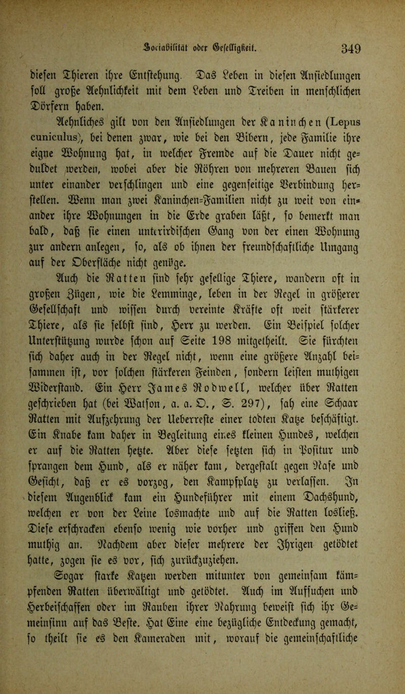 biefen gieren ihre ©ntfteb)ung. £)a§ £eben in biefen 2tnfiebbungen fotl große 5lefjnlicf)feit mit bem ?eben unb Treiben in mcnfc^lie^en Dörfern ^aben. 5lef)n(id)e§ gibt non ben 2bnfieb(ungen ber Kaninchen (Lepus cuniculus), bei benen zwar, wie bei ben ^Bibern, jebe gamilie ihre eigne Sehnung ^at, in metefjer grembe auf bie Oauer nidjt ge= bubbet werben, wobei aber bie SRöfjren non mehreren $Bauen fic^ unter einanber Oexfd)bingen unb eine gegenfeitige SBerbinbung b)er= ftebben. Senn man jtnei $anindhen=gamilien nicht ju weit non ein* anber ihre Segnungen in bie ©rbe graben läßt, fo bemerft man babb, baß fie einen unterirbifcfyen ®ang non ber einen Sohnung Zur anbern anbegen, fo, ab3 ob ihnen ber freunbfchaflbiche Umgang auf ber Oberfläche nicht genüge. 2lud) bie hatten finb fehr gefeÜige £h*ete/ tnanbern oft in großen 3^gen, wie bie Lemminge, beben in ber bHcgeb in größerer ©efeüfchaft unb wiffen burd) nereinte Kräfte oft weit ftärferer Shiere, alß fie febbft finb, $err ju werben, ©in $8eifpieb fobeher Unterftü^ung würbe fdjon auf Seite 198 mitgetf^eibt. Sie fürchten fich baher auch 'm ber Sieget nicht, wenn eine größere 2bnzaf)b bei= fammen ift, nor folgen ftärferen geinben, fonbern beiften mutigen Siberftanb. ©in §err game§ 9tobwebb, Webber über hatten gefchrieben b)at (bei Satfon, a. a. D., S. 297), fah eine Schaar hatten mit Aufzehrung ber Ueberrefte einer tobten $a£e befchäftigt. ©in $nabe fam baher in ^Begleitung eir.e<§ Keinen §unbe», webchen er auf bie hatten h^te* ^ber biefe festen fich in Witur unb fprangen bem §unb, al§ er näher fant, bergeftabt gegen Diafe unb ©eficht, baß er eß borjog, ben $ampfpta£ zu Oerbaffen, gn biefern ^bugenbbief fam ein tpunbeführer mit einem £)acb3hunb, webten er Oon ber £eine bo§macf)te unb auf bie hatten lo^ließ. 2)iefe erfchracfen ebenfo wenig wie Oorher unb griffen ben §unb muthig an. 9?ad)bem aber biefer mehrere ber 3hrt3en getöbtet hatte, jogen fie eß oor, fich surüc^ujiehen. Sogar ftarfe $a£en werben mitunter Oon gemeinfam fäm= pfenben hatten überwäbtigt unb getöbtet. Aud) im ^luffuchen unb §erbeifchaffen ober im tauben ihrer Nahrung beweift fich *hr ®e= meinfinn auf ba§ Söefle. §at ©ine eine bezügliche ©ntbedung gemacht, fo treibt fie eß ben fameraben mit, worauf bie gemeinfd)afttiche