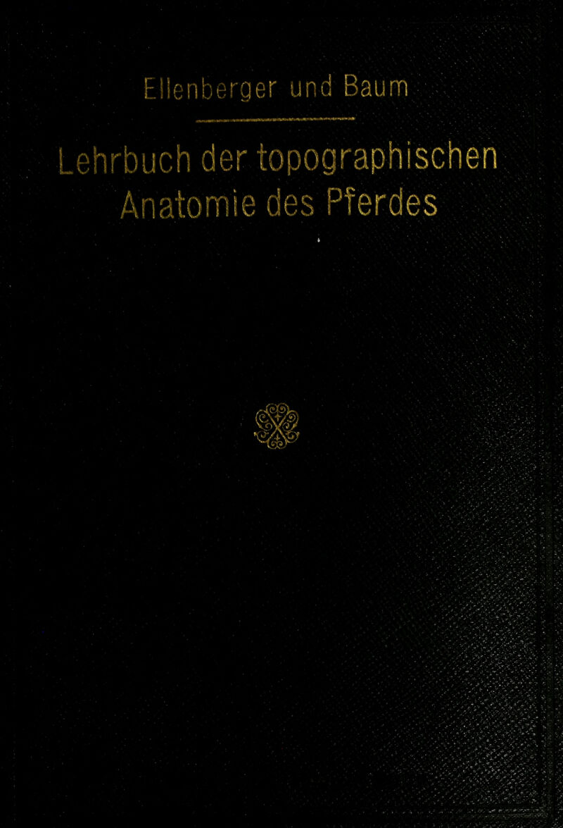 Eüenberger und Baum ehrbuch der topographischen Anatomie des Pferdes