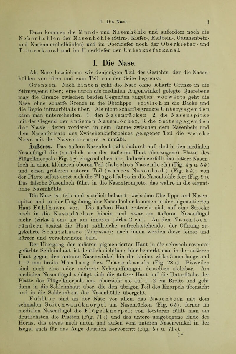 Dazu konunen die Mund- und Nasenhöhle und außerdem noch die Nebenhöhlen der Nasenhöhle (Stirn-, Kiefer-, Keilbein-, Gaumenbein- und Nasenmuschelhöhlen) und im Oberkiefer noch der Oberkiefer-und Tränenkanal und im Unterkiefer der Unterkieferkanal. I. Die Nase. Als Nase bezeichnen wir denjenigen Teil des Gesichts, der die Nasen- höhlen von oben und zum Teil von der Seite begrenzt. Grenzen. Nach hinten geht die Nase ohne scharfe Grenze in die Stimgegend über; eine durch die medialen Augenwinkel gelegte Querebene mag die Grenze zwischen beiden Gegenden angeben; vorwärts geht die Nase ohne scharfe Grenze in die Oberlippe, seitlich in die Backe und die Regio infraorbitalis über. Als nicht scharf begrenzte Untergegenden kann man unterscheiden: 1. den Nasenrücken, 2. die Nasenspitze mit der Gegend der äußeren Nasenlöcher, 3. die Seitengegenden der Nase, deren vorderer, in dem Raume zwischen dem Nasenbein und dem Nasenfortsatz des Zwischenkieferbeines gelegener Teil die weiche Nase mit der Nasentrompete umfaßt. Außeres. Das äußere Nasenloch fäUt dadurch auf, daß in den medialen Nasenflügel die (natürlich von der äußeren Haut überzogene) Platte des Flügelknorpels (Fig. 4 y) eingeschoben ist; dadurch zerfällt das äußere Nasen- loch in einen kleineren oberen Teil (falsches Nasenloch) (Fig. 41/ n. 5h') und einen größeren unteren Teil (wahres Nasenloch) (Fig. 5 Je); von der Platte selbst setzt sich die Flügelfalte in die Nasenhöhle fort (Fig. 9«). Das falsche Nasenloch führt in die Nasentrompete, das wahre in die eigent- liche Nasenhöhle. Die Nase ist fein und spärheh behaart; zwischen Oberlippe und Nasen- spitze und in der Umgebung der Nasenlöcher kommen in der pigmentierten Haut Fühl haare vor. Die äußere Haut erstreckt sich auf eine Strecke noch in die Nasenlöcher hinein und ztvar am äußeren Nasenflügel mehr (zirka 4 cm) als am inneren (zirka 2 cm). An den Nasenloch- rändern besitzt die Haut zahlreiche aufrechtstehende, der Öffnung zu- gekehrte Schutzhaare (Vibrissae); nach innen werden diese feiner und kürzer imd verschwinden bald. Der Übergang der äußeren pigmentierten Haut in die schwach rosenrot gefärbte Schleimhaut ist deutlich sichtbar; hier bemerkt man in der äußeren Haut gegen den unteren Nasenwinkel hin die kleine, zirka 5 imn lange und 1—2 mm breite Mündung des Tränenkanals (Fig. 289). Bisweilen sind noch eine oder mehrere Nebenöfihungen desselben sichtbar. Am medialen Nasenflügel schlägt sich die äußere Haut auf die Unterfläche der Platte des Flügelknorpels um, überzieht sie auf 1—2 cm Breite und geht dann in die Schleimhaut über, die den übrigen Teil des Knorpels überzieht und in die Schleimhaut der Nasenhöhle übergeht. Fühlbar sind an der Nase vor allem das Nasenbein mit dem schmalen Seitenwandknorpel am Nasem’ücken (Fig. 6 ft), ferner im medialen Nasenflügel die Flügelknorpel; von letzteren fühlt man am deutlichsten die Platten (Fig. 71 e) und das untere umgebogene Ende des Horns, das etwas nach unten und außen vom unteren Nasenwinkel in der Regel auch für das Auge deutlich hervortritt (Fig. 5 i u. 71 g). 1 *