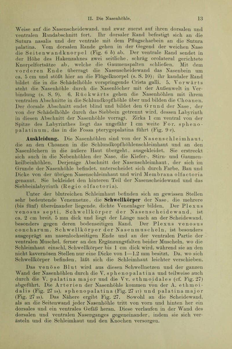 Weise auf die Nasenscheidewand, und zwar zuerst auf ihren dorsalen und ventralen Eandabschnitt fort. Ihr dorsaler Eand befestigt sich an die Sutura nasalis und der ventrale mit dem Pflugscharbein an die Sutura Ijalatina. Vom dorsalen Eande gehen in der Gegend der weichen Nase die Seitenwandknorpel (Fig. 6 h) ab. Der ventrale Eand sendet in der Höhe des Hakenzahnes zwei seitliche, schräg orolateral gerichtete Knorpelfortsätze ab, welche die Gaumenspalten schließen. Mit dem vorderen Ende überragt die Nasenscheidewand das Nasenbein um ca. 5 cm und stößt hier an die Flügelknorpel (s. S. 10); ihr kaudaler Eand bildet die in die Schädelhöhle vorspringende Crista gaUi. 5. Vorwärts steht die Nasenhöhle durch die Nasenlöcher mit der Außenwelt in Ver- lündung (s. S. 9). 6. Eückwärts gehen die Nasenhöhlen mit ihrem ventralen Abschnitte in die Schlundkopfhöhle über und bilden die Choanen. Der dorsale Abschnitt endet blind und bildet den Grund der Nase, der von der Schädelhöhle durch das Siebbein getrennt wird, dessen Labyrinth in diesen Abschnitt der Nasenhöhle vorragt. Zirka 1 cm ventral von der Spitze des Labyrinthes liegt das ungefähr 1 cm weite Fo r. spheno- palatinum, das in die Fossa pterygopalatina führt (Fig. 9 r). Auskleidung. Die Nasenhöhlen sind von der Nasenschleimhaut, die an den Choanen in die Schlundkopfhöhlenschleimhaut und an den Nasenlöchern in die äußere Haut übergeht, ausgekleidet. Sie erstreckt sich auch in die Nebenhöhlen der Nase, die Kiefer-, Stirn- und Gaumen- keilbeinhöhlen. Derjenige Abschnitt der Nasenschleimhaut, der sich im Grunde der Nasenhöhle befindet, unterscheidet sich durch Farbe, Bau und Dicke von der übrigen Nasenschleimhaut und wird Membrana olfactoria genannt. Sie bekleidet den hinteren Teil der Nasenscheidewand und das Siebbeinlabyrinth (Eegio olfactoria). Unter der blutreichen Schleimhaiit befinden sich an gewissen Stellen sehr bedeutende Venennetze, die Schwellkörper der Nase, die mehrere (bis fünf) übereinander liegende, dichte Venenlager bilden. Der Plexus venös US septi, Schwellkörper der Nasenscheidewand, ist ca. 2 cm breit, 5 mm dick und liegt der Länge nach an der Scheidewand, besonders gegen deren bodenseitigen Eand. Der Plexus venösus concharum, Schwellkörper der Nasen muscheln, ist besonders ausgeprägt am nasenlochseitigen Ende und an der ventralen Partie der ventralen Muschel, ferner an den Ergänzungsfalten beider Muscheln, wo die Schleimhaut einschl. Schwellkörper bis 1 cm dick wird, während sie an den nicht kavernösen Stellen nur eine Dicke von 1—1,2 mm besitzt. Da, wo sich Schwellkörper befinden, läßt sich die Schleimhaut leichter verschieben. Das venöse Blut wird aus diesen Schwellnetzen und der ganzen Wand der Nasenhöhlen durch die V. sphenopalatina und teilweise auch durch die V. palatina major und die Vv. ethmoidales (cf. Fig. 27) abgeführt. Die Arterien der Nasenhöhle kommen von der A. ethmoi- dalis (Fig. 27 is), sphenopalatina (Fig. 27 n) und palatina maj o r (Fig. 27 is). Das Nähere ergibt Fig. 27. Sowohl an die Scheidewand, als an die Seitenwand jeder Nasenhöhle tritt von vorn und hinten her ein dorsales und ein ventrales Gefäß heran. Diese verlaufen in der Wand des dorsalen und ventralen Nasenganges gegeneinander, indem sie sich ver- ästeln und die Schleimhaut und den Knochen versorgen.