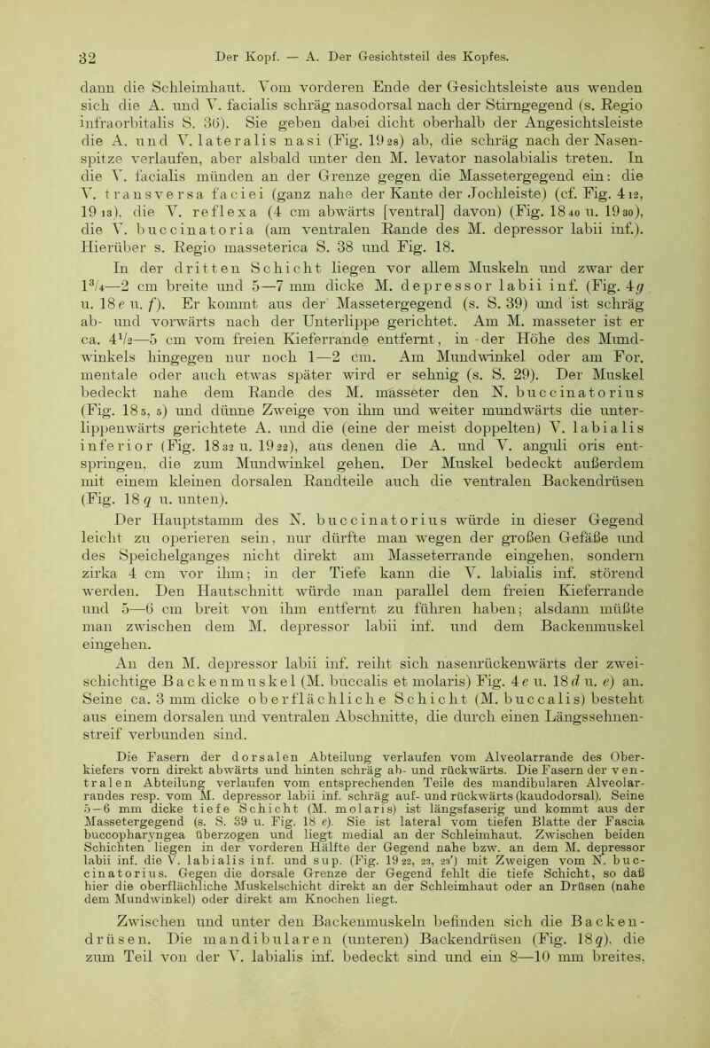 dann die Schleimhaut. Vom vorderen Ende der Gesichtsleiste aus wenden sich die A. und V. facialis schräg nasodorsal nach der Stirngegend (s. Eegio infraorbitalis S. 3(3). Sie geben dabei dicht oberhalb der Angesichtsleiste die A. und V. lateralis nasi (Fig. 192s) ab, die schräg nach der Nasen- spitze verlaufen, aber alsbald unter den M. levator nasolabialis treten. In die V. facialis münden an der Grenze gegen die Massetergegend ein: die Y, transversa faciei (ganz nahe der Kante der Jochleiste) (cf. Fig. 4i2, 19 13). die V. reflexa (4 cm abwärts [ventral] davon) (Fig. 184o u. 19so), die V. buccinatoria (am ventralen Eande des M. depressor labii inf.). Hierüber s. Eegio masseterica S. 38 und Fig. 18. In der dritten Schicht liegen vor allem Muskeln und zwar der Hb—2 cm breite und 5—7 mm dicke M. depressor labii inf. (Fig. Ag u. ISen.f). Er kommt aus der' Massetergegend (s. S. 39) und ist schräg ab- und vorwärts nach der Unterlippe gerichtet. Am M. masseter ist er ca. 4V2—5 cm vom freien Kieferrande entfernt, in -der Höhe des Mimd- winkels hingegen nur noch 1—2 cm. Am Mundwinkel oder am For. mentale oder auch etwas später wird er sehnig (s. S. 29). Der Muskel bedeckt nahe dem Eande des M. mässeter den N. buc cinat 0 rius (Fig. 18 s, 5) und dünne Zweige von ihm und weiter mundwärts die unter- lippenwärts gerichtete A. und die (eine der meist doppelten) V. labialis inferior (Fig. I832 u. 1922), aus denen die A. und V. anguli oris ent- springen, die zum Mundwinkel gehen. Der Muskel bedeckt außerdem mit einem kleinen dorsalen Eandteile auch die ventralen Backendrüsen (Fig. 18g u. unten). Der Hauptstamm des N. buccinatorius würde in dieser Gegend leicht zu operieren sein, nur dürfte man wegen der großen Gefäße und des Speichelganges nicht direkt am Masseterrande eingehen, sondern zirka 4 cm vor ihm; in der Tiefe kann die V. labialis inf. störend werden. Den Hautschnitt würde man parallel dem freien Kieferrande und 5—6 cm breit von ihm entfernt zu führen haben; alsdaini müßte man zwischen dem M. depressor labii inf. und dem Backemnuskel eingehen. An den M. depressor labii inf. reiht sich arasenrückenwärts der zwei- schichtige Backenmuskel (M. buccalis et molaris) Fig. Ae u. 18d u. e) an. Seine ca. 3 mm dicke oberflächliche Schicht (M. buccalis) besteht aus einem dorsalen und ventralen Abschnitte, die durch einen Längssehnen- streif verbunden sind. Die Dasern der dorsalen Abteilung verlaufen vom Alveolarrande des Ober- kiefers vorn direkt abwärts und hinten schräg ab- und rückwärts. Die Fasern der ven- tralen Abteilung verlaufen vom entsprechenden Teile des mandibularen Alveolar- randes resp. vom M. depressor labii inf. schräg auf- und rückwärts (kaudodorsal). Seine .5 — 6 mm dicke tiefe Schicht (M. molaris) ist längsfaserig und kommt aus der Massetergegend (s. S. 39 u. Fig. 18 e). Sie ist lateral vom tiefen Blatte der Fascia buccopharyngea überzogen und liegt medial an der Schleimhaut. Zwischen beiden Schichten liegen in der vorderen Hälfte der Gegend nahe bzw. an dem M. depressor labii inf. die V. labialis inf. und sup. (Fig. 19 22, 23, 23') mit Zweigen vom N. buc- cinatorius. Gegen die dorsale Grenze der Gegend fehlt die tiefe Schicht, so daß hier die oberflächliche Muskelschicht direkt an der Schleimhaut oder an Drüsen (nahe dem Mundwinkel) oder direkt am Knochen liegt. Zwüschen und unter den Backenmuskeln befinden sich die Backen- drüsen. Die mandibularen (unteren) Backendrüsen (Fig. 18g). die zum Teil von der V. labialis inf. bedeckt sind und ein 8—10 mm breites.