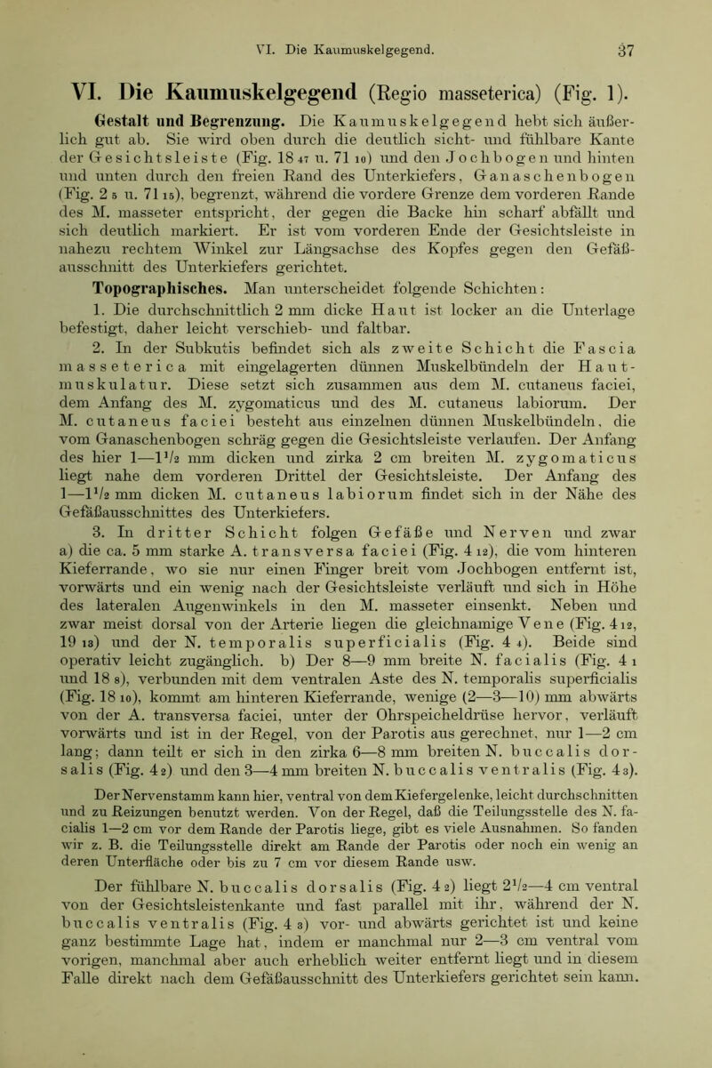 VI. Die Kaumuskelgegend (Reg-io masseterica) (Fig. 1). Gestalt und Begrenzung. Die KaiTmuske lg egend hebt sieh äußer- lich gut ab. Sie wird oben durch die deutlich sicht- und fühlbare Kante der Gesichtsleiste (Fig. 18 47 u. 71 10) und den Jochb0gen und hinten und unten durch den freien Rand des Unterkiefers, G an as c h enb og en (Fig. 2 s u. 7115), begrenzt, während die vordere Grenze dem vorderen Rande des M. masseter entspricht, der gegen die Backe hin scharf abfäUt und sich deutlich markiert. Er ist vom vorderen Ende der Gesichtsleiste in nahezu rechtem Winkel zur Längsachse des Kopfes gegen den Gefäß- ausschnitt des Unterkiefers gerichtet. Topographisches. Man iinterscheidet folgende Schichten; 1. Die durchschnittlich 2 mm dicke Haut ist locker an die Unterlage befestigt, daher leicht verschieb- und faltbar. 2. In der Subkutis befindet sich als zweite Schicht die Fascia masseterica mit eingelagerten dünnen Muskelbündeln der H a u t - muskulatur. Diese setzt sich zusammen aus dem M. cutaneus faciei, dem Anfang des M. zygomaticus und des M. cutaneus labiorum. Der M. cutaneus faciei besteht aus einzelnen dünnen Muskelbündeln, die vom Ganaschenbogen schräg gegen die Gesichtsleiste verlaufen. Der Anfang des hier 1—IV2 mm dicken und zirka 2 cm breiten M. zygomaticus liegt nahe dem vorderen Drittel der Gesichtsleiste. Der Anfang des 1—IV2 mm dicken M. cutaneus labiorum findet sich in der Nähe des Gefäßausschnittes des Unterkiefers. 3. In dritter Schicht folgen Gefäße und Nerven und zwar a) die ca. 5 mm starke A. transversa faciei (Fig. 4 12), die vom hinteren Kieferrande, wo sie nur einen Finger breit vom Jochbogen entfernt ist, vorwärts und ein wenig nach der Gesichtsleiste verläuft und sich in Höhe des lateralen Augenwinkels in den M. masseter einsenkt. Neben und zwar meist dorsal von der Arterie liegen die gleichnamige Vene (Fig. 4i2, 19 13) und der N. temporalis superficialis (Fig. 4 4). Beide sind operativ leicht zugänglich, b) Der 8—9 mm breite N. facialis (Fig. 4i imd 18 s), verbunden mit dem ventralen Aste des N. temporalis superficialis (Fig. 18 10), kommt am hinteren Kieferrande, wenige (2—3—10) mm abwärts von der A. transversa faciei, unter der Ohrspeicheldrüse hervor, verläuft vorwärts und ist in der Regel, von der Parotis aus gerechnet, nur 1—2 cm laug; dann teilt er sich in den zirka 6—8 mm breiten N. buccalis dor- salis (Fig. 42) und den3—4mm breiten N. buccalis ventralis (Fig. 43). DerNervenstamm kann hier, ventral von dem Kiefergelenke, leicht durchschnitten lind zu Reizungen benutzt werden. Von der Regel, daß die TeiJungsstelle des N. fa- cialis 1—2 cm vor dem Rande der Parotis liege, gibt es viele Ausnahmen. So fanden wir z. B. die Teilungsstelle direkt am Rande der Parotis oder noch ein wenig an deren Unterfläche oder bis zu 7 cm vor diesem Rande usw. Der fühlbare N. buccalis dorsalis (Fig. 42) liegt 2V2—4 cm ventral von der Gesichtsleistenkante und fast parallel mit ihr, während der N. buccalis ventralis (Fig. 4 3) vor- und abwärts gerichtet ist und keine ganz bestimmte Lage hat, indem er manchmal nur 2—3 cm ventral vom vorigen, manchmal aber auch erheblich weiter entfernt liegt und in diesem Falle direkt nach dem Gefäßausschnitt des Unterkiefers gerichtet sein kami.