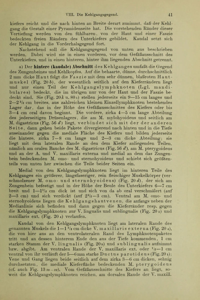 kiefers reicht und die nach hinten an Breite derart zunimmt, daß der Kehl- g-ang die Gestalt einer Pyramidenseite hat. Die vorstehenden Ränder dieser Vertiefung werden von den fühlbaren, von der Haut und einer Faszie bedeckten freien Rändern des Unterkiefers gebildet. Kaudal setzt sich der Kehlgang in die Vorderhalsgegend fort.. Nachstehend soU die Kehlgangsgegend von unten aus beschrieben werden. Dabei wird sie in einen vorderen, vor dem Gefäßaiisschnitt des Unterkiefers, und in einen hinteren, hinter ihm liegenden Abschnitt getrennt. a) Der hintere (kaudale) Abschnitt des Kehlganges umfaßt die Gegend des Zungenbeines imd Kehlkopfes. Auf die behaarte, dünne, durchschnittlich 2 mm dicke Haut folgt die Faszie mit dem sehr dünnen, blaßroten Hant- ln u s k e 1 (Fig. 20 h), der wesentlich seitlich auf den Kieferrändem liegt und nur einen Teil der Kehlgangslymphknoten (Lgl. mandi- bulares) bedeckt, die im übrigen nur von der Haut und der Faszie be- deckt sind. Sie (Fig. 20 Z; u. 80ö) stellen jederseits ein 9—15 cm langes und 2— 2 V2 cm breites, aus zahlreichen kleinen Einzellymphknoten bestehendes Lager dar, das in der Höhe des Gefäßausschnittes des Kiefers oder bis 3— 4 cm oral davon beginnt. Die vordere, zirka 4—5 cm lange Abteilung des jederseitigen Drüsenlagers, die am M. mylohyoideus und seitlich am M, digastricus (Fig. 56 d!) liegt, verbindet sich mit der der anderen Seite, dann gehen beide Pakete divergierend nach hinten imd in die Tiefe auseinander gegen die mediale Fläche des Kiefers imd bilden jederseits die hintere, zirka 7 — 8 cm lange und 2—3 cm dicke Abteilung; sie liegt mit dem lateralen Rande an den dem Kiefer anliegenden Teilen, nämlich am oralen Bauche des M. digastricus (Fig, 56 d'), am M. pterygoideus und an der A. und V. maxillaris externa und medial an dem das Zungen- bein bedeckenden M. omo- und stemohyoideus imd schiebt sich größten- teils von unten her zwischen die Teile beider Seiten ein. Medial von den Kehlgangslymphknoten liegt im hinteren Teile des Kehlganges ein größerer, längsfaseriger, rein fleischiger Muskelkörper (ver- schmolzener M. omo- und stemohyoideus) (Fig. 20 d), der sich am Zungenbein befestigt und in der Höhe der Beule des Unterkiefers 6—7 cm breit und 1—U/2 cm dick ist und sich von da ab oral verschmälert (auf 2—3 cm) und sich verdickt (auf 2V2 —3 cm). Ventral am M. omo- und stemohyoideus liegen die Kehlgangshautvenen, die anfangs neben der Medianlinie sich befinden und dann gegen die Kieferränder resp. gegen die Kehlgangslymphknoten zur V. lingualis und sublingualis (Fig. 20 5) und maxillaris ext. (Fig, 20 4) verlaufen. Kaudal von den Kehlgangslymphknoten liegt am lateralen Rande des genatmten Muskels die 1—1 V2 cm dicke V. maxillaris externa (Fig. 20 4), die von hier aus an den ventrolateralen Rand des Lymphknotenpaketes tritt und an dessen hinterem Ende den aus der Tiefe kommenden, 1 cm starken Stamm der V. lingualis (Fig. 20s) und sublingualis aufnimmt bzw. abgibt. Am ventralen Rande der V. maxillaris ext. oder l2—1 cm ventral von ihr verläuft der 5—6 imn starke Ductus parotideus (Fig. 20 1); Vene und Gang liegen beide seitlich auf dem zirka 3—6 cm dicken, sehnig durchsetzten, die mediale Kieferfläche bedeckenden M. pterygoideus (cf. auch Fig. 13 20 —22). Vom Gefäßausschnitte des Kiefers an liegt, so- weit die Kehlgangslymphknoten reichen, am dorsalen Rande der V. maxill.