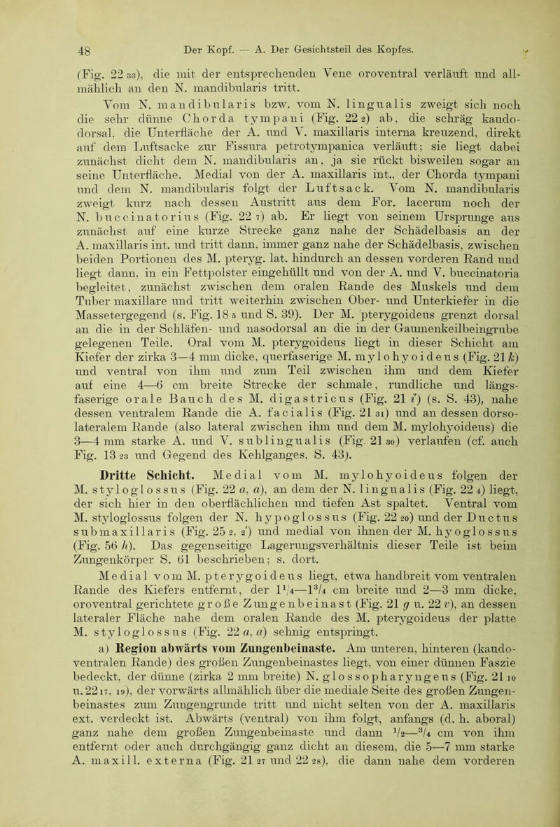 (Fig. 2233), die mit der entsprechenden Vene oroventral verläitft nnd all- mählich an den N. mandibnlaris tritt. Vom N. m a n d i b iT 1 a r i s bzw. vom N. 1 i n g n a 1 i s zweigt sich noch die sehr dünne Chorda tympani (Fig. 22 2) ab, die schräg kaudo- dorsal, die Unterfläche der A. nnd V. inaxillaris interna kreuzend, direkt anf dem Lnftsacke znr Fissttra petrotyinpanica verlänft; sie liegt dabei zunächst dicht dem N. mandibnlaris an, ja sie rückt bisweilen sogar an seine Unterlläche. Medial von der A. inaxillaris int., der Chorda tympani nnd dem N. mandibnlaris folgt der Lnftsack. Vom N. mandibnlaris zweigt kurz nach dessen Anstritt ans dem For, lacerum noch der N. bnccinatorins (Fig. 22 7) ab. Er liegt von seinem Ursprnnge aus zunächst anf eine kurze Strecke ganz nahe der Schädelbasis an der A. inaxillaris int. nnd tritt dann, immer ganz nahe der Schädelbasis, zwischen beiden Portionen des M. pteryg. lat. hindurch an dessen vorderen Rand nnd liegt dann, in ein Fettpolster eingehüllt und von der A. und V. bnccinatoria begleitet, zunächst zwischen dem oralen Rande des Muskels nnd dem Tuber maxillare nnd tritt weiterhin zwischen Ober- nnd Unterkiefer in die Massetergegend (s. Fig. 18.5 und S. 39). Der M. pterygoideiis grenzt dorsal an die in der Schläfen- nnd uasodorsal an die in der G-anmenkeilbeingrube gelegenen Teile. Oral vom M. pterygoideiis liegt in dieser Schicht am Kiefer der zirka 3—4 mm dicke, qnerfaserige M. mylohyoideus (Fig. 21 k) nnd ventral von ihm nnd znm Teil zwischen ihm und dem Kiefer anf eine 4—6 cm breite Strecke der schmale, rundliche nnd längs- faserige orale Bauch des M. digastricns (Fig. 21 /) (s. S. 43), nahe dessen ventralem Rande die A. facialis (Fig. 21 31) nnd an dessen dorso- lateralem Rande (also lateral zwischen ihm und dem M. mylohyoideus) die 3—4 mm starke A. nnd V. snblingualis (Fig. 21 30) verlaufen (cf. auch Fig. 13 23 und Gregend des Kehlganges, S, 43). Dritte Schicht. Medial vom M. mylohyoideus foIgen der M. styloglossiis (Fig. 22 a, a), an dem der N. lingualis (Fig. 22 4) liegt, der sich hier in den oberflächlichen und tiefen Ast spaltet. Ventral vom M. styloglossiis folgen der N. hypoglossiis (Fig. 22 20) imd der D11 c111 s s 11binaxillaris (Fig. 25 2, 2') und medial von ihnen der M. hyoglossiis (Fig. 56 h). Das gegenseitige Lagerungsverhältnis dieser Teile ist beim Ziingeukörper S. 61 beschrieben; s. dort. Medial v 0 m M. p t e r y g 0 i d e 11 s liegt, etwa handbreit vom ventralen Rande des Kiefers entfernt, der U,4—P/4 cm breite und 2—3 mm dicke, oroventral gerichtete große Zungenbeinast (Fig. 21 g 11. 22 r), an dessen lateraler Fläche nahe dem oralen Rande des M. pterygoideus der platte M. s t y 10 g 1 o s s 11 s (Fig. 22 a, a) sehnig entspringt. a) Regiou abwärts vom Zungenbeinaste. Am unteren, hinteren (kaudo- ventralen Rande) des großen Zungenbeinastes liegt, von einer dünnen Faszie bedeckt, der dünne (zirka 2 mm breite) N. glo s s opharyngeiis (Fig. 21 10 11.2217, 19), der vorwärts allmählich über die mediale Seite des großen Zungen- beinastes zum Ziingengriinde tritt und nicht selten von der A. inaxillaris ext. verdeckt ist. Abwärts (ventral) von ihm folgt, anfangs (d. h. aboral) ganz nahe dem großen Zungenbeinaste und dann V2—cm von ihm entfernt oder auch durchgängig ganz dicht an diesem, die 5—7 mm starke A. maxill. externa (Fig. 21 27 und 22 2s), die dann nahe dem vorderen