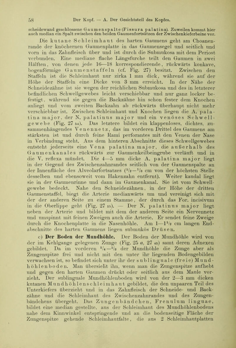 Scheidewand geschlossene Gaumenspalte (Fissura palatina). Zuweilen kommt hier auch median ein Spalt zwischen den beiden Gaumenfortsätzen der Zwischenkieferbeine vor. Die kutane Schleim ha nt des harten Grainnens geht am Choanen- rande der knöchernen Gaumenplatte in das Gaumensegel und seitlich und vorn in das Zahnfleisch über und ist durch die Submukosa mit dem Periost verbunden. Eine mediane flache Längsforche teilt den Gaumen in zwei Hälften, von denen jede lü—18 korrespondierende, rückwärts konkave, bogenförmige Gaumenstaffeln (cf. Fig. 27) besitzt. Zwischen den Staffeln ist die Schleimhaut nur zirka 1 mm dick, während sie auf der Höhe der Staffeln eine Dicke von 3 mm erreicht. In der Nähe der Schneidezähne ist sie wegen der reichlichen Submukosa und des in letzterer befindlichen Schwellgewebes leicht verschiebbar und nur ganz locker be- festigt, während sie gegen die Backzähne hin schon fester dem Knochen anliegt und vom zweiten Backzahn ab rückwärts überhaupt nicht mehr verschiebbar ist. Zwischen Schleimhaut und Knochen liegen die A. pala- tina major, der N. palatinus major und ein venöses Schwell- gewebe (Fig. 27 54). Das letztere bildet ein klappenloses, dichtes, zu- sammenhängendes Venennetz, das im vorderen Drittel des Gaumens am stärksten ist iind durch feine Rami pei-forautes mit den Venen der Nase in Verbindung steht. Aus dem hinteren Abschnitte dieses Schwellgewebes entsteht jederseits eine Vena p a 1 a t i n a m a j o r, die außerhalb des Gaumenkanales rückwärts zur Gaumenkeilbeingrube verläuft land in die V. reflexa mündet. Die 4—5 mm dicke A. palatina major liegt in der Gegend des Zwischenzahnrandes seitlich von der Gaumenspalte an der Innenfläche des Alveolarfortsatzes (V2 —bs cm von der höchsten Stelle desselben imd ebensoweit vom Hakenzahn entfernt). Weiter kaudal liegt sie in der Gaumenrinne und dann im Gaumenkanal. Sie ist vom Schwell- gewebe bedeckt. Nahe den Schneidezähnen, in der Höhe der dritten Gaumenstaffel, biegt die Arterie medianwärts um und vereinigt sich mit der der anderen Seite zu einem Stamme, der durch das For. incisivum in die Oberlippe geht (Fig. 27 15). — Der N. palatiniTS major liegt neben der Arterie imd bildet mit dem der anderen Seite ein Nervennetz und umspinnt mit feinen Zweigen auch die Arterie. Er sendet feine Zweige durch die Knochenplatte in die Nasenhöhle. Am 1—D/2 cm langen End- abschnitte des harten Gaumens liegen submukös Drüsen. c) Der Boden der Mundhöhle. Der Boden der Mundhöhle wird von der im Kehlgange gelegenen Zunge (Fig. 25 a, 27 45) samt deren Adnexen gebildet. Da hn vorderen V4—Va der Mundhöhle die Zunge aber als Zungenspitze frei und nicht mit den unter ihr liegenden Bodengebilden verwachsen ist, so befindet sich unter ihr der sublinguale (fr e i e) M u n d - höhlenboden. Man übersieht ihn, wenn man die Zungenspitze aufhebt und gegen den harten Gaumen drückt oder seitlich aus dem Maule vor- zieht. Der sublinguale Mundhöhlenboden wird von der 2—3 nnn dicken kutanen Mxindhöhlenschleimhaut gebildet, die den unpaaren Teil des Unterkiefers überzieht und in das Zahnfleisch der Schneide- und Back- zähne und die Schleimhaut des Zwischenzahnrandes und des Zungen- bändchens übergeht. Das Zungenbändchen, Frenulum linguae, bildet eine median gestellte, aus der Schleimhaut des Mundhöhlenbodens nahe dem Kinnwinkel entspringende und an die bodenseitige Fläche der Zungenspitze gehende Schleimhautfalte, die aus 2 Schleimhautplatten