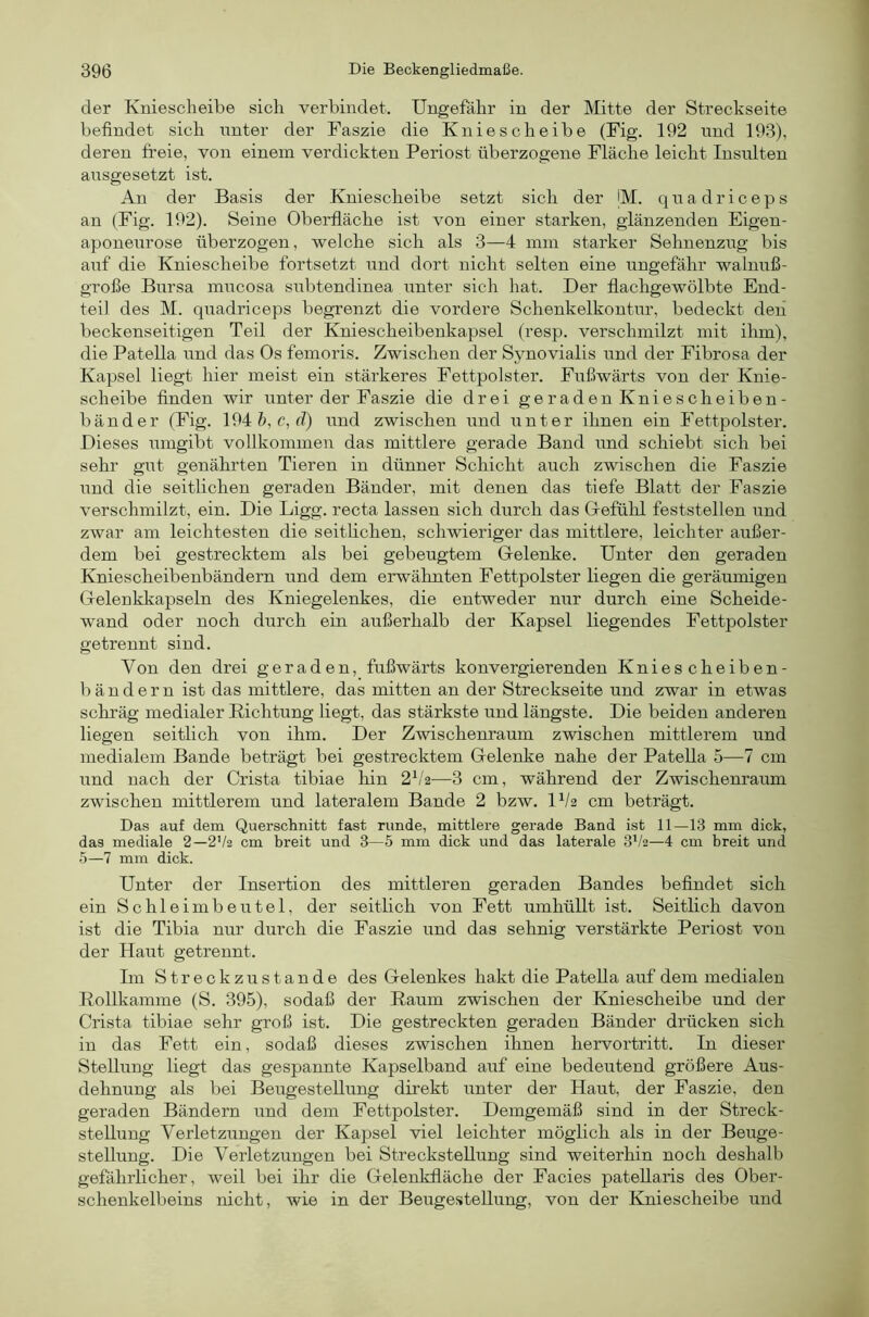 der Kniescheibe sich verbindet. Ungefahr in der Mitte der Streckseite befindet sich unter der Faszie die Kniescheibe (Fig. 192 und 193), deren freie, von einem verdickten Periost überzogene Fläche leicht Insulten aiisgesetzt ist. An der Basis der Kniescheibe setzt sich der |M. q n a d r i c e p s an (Fig. 192). Seine Obei-fläche ist von einer starken, glänzenden Eigen- aponeurose überzogen, welche sich als 3—4 mm starker Sehnenzng bis auf die Kniescheibe fortsetzt und dort nicht selten eine ungefähr walnuß- große Bursa mucosa subtendinea unter sich hat. Der flachgewölbte End- teil des M. quadriceps begrenzt die vordere Schenkelkontur, bedeckt den beckenseitigen Teil der Kniescheibenkapsel (resp. verschmilzt mit ilim), die PateUa und das Os femoris. Zwischen der Synovialis und der Fibrosa der Kapsel liegt hier meist ein stärkeres Fettpolster. Fußwärts von der Knie- scheibe finden wir unter der Faszie die drei geraden Kniescheiben- bänder (Fig. 194&, c, (?) und zwischen und unter ihnen ein Fettpolster. Dieses umgibt vollkommen das mittlere gerade Band und schiebt sich bei sehr gut genährten Tieren in dünner Schicht auch zwischen die Faszie und die seitlichen geraden Bänder, mit denen das tiefe Blatt der Faszie verschmilzt, ein. Die Ligg. recta lassen sich durch das G-efühl feststellen und zwar am leichtesten die seitlichen, schwieriger das mittlere, leichter außer- dem bei gestrecktem als bei gebeugtem Oelenke. Unter den geraden Kniescheibenbändern und dem erwähnten Fettpolster liegen die geräumigen Gelenkkapseln des Kniegelenkes, die entweder nur durch eine Scheide- wand oder noch durch ein außerhalb der Kapsel liegendes Fettpolster getrennt sind. Von den drei geraden, fußwärts konvergierenden Kniescheiben- bändern ist das mittlere, das mitten an der Streckseite und zwar in etwas schräg medialer Richtung liegt, das stärkste und längste. Die beiden anderen liegen seitlich von ihm. Der Zwischenraum zwischen mittlerem und medialem Bande beträgt bei gestrecktem Gelenke nahe der Patella 5—7 cm und nach der Crista tibiae hin 2f'2—3 cm, während der Zwischenraum zwischen mittlerem und lateralem Bande 2 bzw. U/2 cm beträgt. Das auf dem Querschnitt fast runde, mittlere gerade Band ist 11—13 mm dick, das mediale 2—2V2 cm breit und 3—5 mm dick und das laterale 3*/2—4 cm breit und 5—7 mm dick. Unter der Insertion des mittleren geraden Bandes befindet sich ein Schleimbeutel, der seitlich von Fett umhüUt ist. Seitlich davon ist die Tibia nur durch die Faszie und das sehnig verstärkte Periost von der Haut getrennt. Im Streckzustande des Gelenkes hakt die Patella auf dem medialen Rollkamme (S. 395), sodaß der Raum zwischen der Kniescheibe und der Crista tibiae sehr groß ist. Die gestreckten geraden Bänder drücken sich in das Fett ein, sodaß dieses zwischen ihnen hervortritt. In dieser Stellung liegt das gespannte Kapselband auf eine bedeutend größere Aus- dehnung als bei Beiigestellung direkt unter der Haut, der Faszie, den geraden Bändern und dem Fettpolster. Demgemäß sind in der Streck- steilung Verletzungen der Kapsel viel leichter möglich als in der Beuge- stellung. Die Verletzungen bei Strecksteilung sind weiterhin noch deshalb gefährlicher, weil bei ihr die Gelenkfläche der Facies pateUaris des Ober- schenkelbeins nicht, wie in der Beugestellung, von der Kniescheibe und