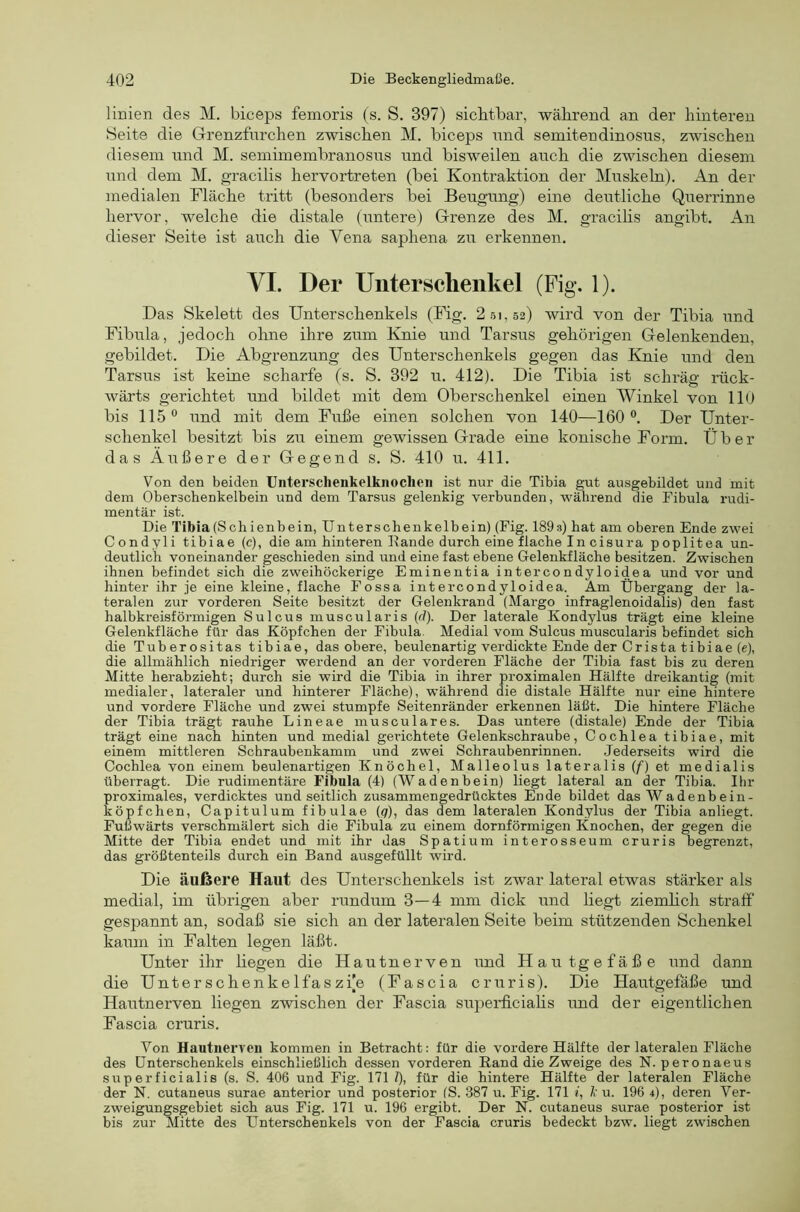 linien des M. biceps femoris (s. S. 397) sicMbar, während an der hinteren Seite die Glrenzfurchen zwischen M. biceps nnd semitendinosus, zwischen diesem nnd M. seniiinembranosus nnd bisweilen anch die zwischen diesem nnd dem M. gracilis hervortreten (bei Kontraktion der Muskeln). An der medialen Fläche tritt (besonders hei Bengnng) eine dentliche Qnerrinne hervor, welche die distale (untere) Grenze des M. gracilis angibt. An dieser Seite ist anch die Vena saphena zn erkennen. VI. Der Uiitersclieiikel (Fig. 1). Das Skelett des Unterschenkels (Mg. 2.51,52) wird von der Tibia nnd Fibnla, jedoch ohne ihre znm Knie nnd Tarsns gehörigen Gelenkenden, gebildet. Die Abgrenznng des Unterschenkels gegen das Knie nnd den Tarsns ist keine schaiTe (s. S. 392 n. 412). Die Tibia ist schräg rück- wärts gerichtet nnd bildet mit dem Oberschenkel einen Winkel von 110 bis 115° imd mit dem Fnße einen solchen von 140—160 °. Der Unter- schenkel besitzt bis zn einem gewissen Grade eine konische Form. Über das Änßere der Gegend s. S. 410 n. 411. Von den beiden Untersclienkelknoclieii ist nur die Tibia gut ausgebildet und mit dem Oberschenkelbein und dem Tarsus gelenkig verbunden, während die Fibula rudi- mentär ist. Die Tibia (Sch ienbein, Unterschenkelbein) (Fig. 189s) hat am oberen Ende zwei Condyli tibiae (c), die am hinteren Bande durch eine flache In cisura poplitea un- deutlich voneinander geschieden sind und eine fast ebene Gelenkfläche besitzen. Zwischen ihnen befindet sich die zweihöckerige Eminentia intercondyloidea und vor und hinter ihr je eine kleine, flache Fossa intercondyloidea. Am Übergang der la- teralen zur vorderen Seite besitzt der Gelenkrand (Marge infraglenoidalis) den fast halbkreisförmigen Sulcus muscularis (d). Der laterale Kondylus trägt eine kleine Gelenkfläche für das Köpfchen der Fibula. Medial vom Sulcus muscularis befindet sich die Tuberositas tibiae, das obere, beulenartig verdickte Ende der Crista tibiae (e), die allmählich niedriger werdend an der vorderen Fläche der Tibia fast bis zu deren Mitte herabzieht; durch sie wird die Tihia in ihrer proximalen Hälfte dreikantig (mit medialer, lateraler und hinterer Fläche), während die distale Hälfte nur eine hintere und vordere Fläche und zwei stumpfe Seitenränder erkennen läßt. Die hintere Fläche der Tibia trägt rauhe Lineae musculares. Das untere (distale) Ende der Tibia trägt eine nach hinten und medial gerichtete Gelenkschraube, Cochlea tibiae, mit einem mittleren Schraubenkamm und zwei Schraubenrinnen. Jederseits wird die Cochlea von einem beulenartigen Knöchel, Malleolus lateralis (f) et medialis überragt. Die rudimentäre Fibula (4) (Wadenbein) liegt lateral an der Tibia. Ihr proximales, verdicktes und seitlich zusammengedrücktes Ende bildet das Wadenbein- köpfchen, Capitulum fibulae (q), das dem lateralen Kondylus der Tibia anliegt. Fuilwärts verschmälert sich die Fibula zu einem dornförmigen Knochen, der gegen die Mitte der Tibia endet und mit ihr das Spatium interosseum cruris begrenzt, das größtenteils durch ein Band ausgefüllt wird. Die äußere Haut des Unterschenkels ist zwar lateral etwas stärker als medial, im übrigen aber rundum 3—4 mm dick und liegt ziemlich stratf gespannt an, so daß sie sich an der lateralen Seite beim stützenden Schenkel kaum in Falten legen läßt. Unter ihr liegen die Hautnerven und Hautgefäße und dann die Unterschenkelfaszfe (Fascia cruris). Die Hautgefäße und Hautnerven liegen zwischen der Fascia suioerficiahs imd der eigentlichen Fascia cruris. Von Hautnerven kommen in Betracht: für die vordere Hälfte der lateralen Fläche des Unterschenkels einschließlich dessen vorderen Rand die Zweige des N. peronaeus superficialis (s. S. 406 und Fig. 171 Z), für die hintere Hälfte der lateralen Fläche der N. cutaneus surae anterior und posterior (S. 387 u. Fig. 171 «, 1< u. 196 4), deren Ver- zweigungsgebiet sich aus Fig. 171 u. 196 ergibt. Der N. cutaneus surae posterior ist bis zur Mitte des Unterschenkels von der Fascia cruris bedeckt bzw. liegt zwischen