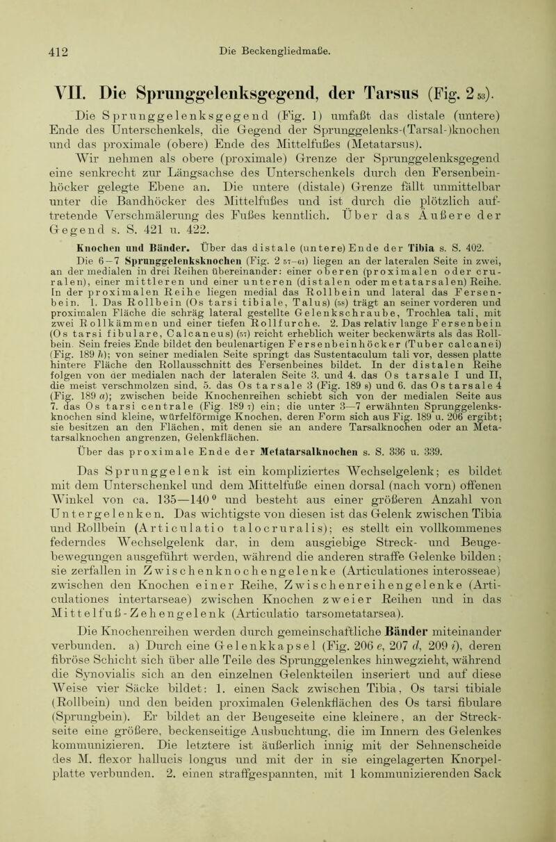 VII. Die Spruiiggelenksgegend, der Tarsus (Fig. 253). Die Sprunggelenksgegend (Fig. ]) umfaßt das distale (untere) Ende des Unterschenkels, die Gegend der Sprunggelenks-(Tarsal-iknochen und das proximale (obere) Ende des Mittelfußes (Metatarsus). AVir nehmen als obere (proximale) Grenze der Sprunggelenksgegend eine senkrecht zur Längsachse des Unterschenkels durch den Fersenbein- höcker gelegte Ebene an. Die untere (distale) Grenze fällt unmittelbar unter die Bandhöcker des Mittelfußes und ist durch die plötzlich auf- tretende Verschmälerung des Fußes kenntlich. Über das Äußere der Gegend s. S. 421 u. 422. Knochen und Bänder. Über das distale (untere) Ende der Tibia s. S. 402. Die 6 — 7 Sprunggelenksknochen (Fig. 2 67-ei) liegen an der lateralen Seite in zwei, an der medialen in drei Reihen übereinander: einer oberen (proximalen oder cru- ralen), einer mittleren und einer unteren (distalen oder metatarsalen) Reihe. In der proximalen Reihe liegen medial das Rollbein und lateral das Fersen- bein. 1. Das Rollbein (Os tarsi tibiale, Talus) (.58) trägt an seiner vorderen und proxircalen Fläche die schräg lateral ^stellte Gelenkschraube, Trochlea tali, mit zwei R ollkämmen und einer tiefen Rollfurche. 2. Das relativ lange Fersenbein (Os tarsi fibulare, Calcaneus) (st) reicht erheblich weiter beckenwärts als das Roll- bein. Sein freies Ende bildet den beulenartigen Fersenbeinhöcker (Tuber calcanei) (Fig. 189 7(); von seiner medialen Seite springt das Sustentaculum tali vor, dessen platte hintere Fläche den Rollausschnitt des Fersenbeines bildet. In der distalen Reihe folgen von der medialen nach der lateralen Seite 3. und 4. das Os tarsale I und II, die meist verschmolzen sind, 5. das Os tarsale 3 (Fig. 189 s) und 6. das Os tarsale 4 (Fig. 189 a); zwischen beide Knochenreihen schiebt sich von der medialen Seite aus 7. das Os tarsi centrale (Fig. 189?) ein; die unter 3—7 erwähnten Sprunggelenks- knochen sind kleine, würfelförmige Knochen, deren Form sich aus Fig. 189 u. 206 ergibt; sie besitzen an den Flächen, mit denen sie an andere Tarsalknochen oder an Meta- tarsalknochen an grenzen, Gelenkflächen. Über das proximale Ende der Metatarsalkiiocheii s. S. 336 u. 339. Das Sprunggelenk ist ein kompliziertes AVechselgelenk; es bildet mit dem Unterschenkel und dem Mittelfuße einen dorsal (nach vorn) offenen Winkel von ca. 135—140® und besteht aus einer größeren Anzahl von Untergelenken. Das wichtigste von diesen ist das Gelenk zwischen Tibia und Rollbein (Articulatio talocruralis); es stellt ein vollkommenes federndes AVechselgelenk dar, in dem ausgiebige Streck- und Beuge- bewegungen ausgeführt werden, während die anderen straffe Gelenke bilden; sie zerfallen in Z w i s c h e n k n o c h e n g e 1 e n k e (Articulationes interosseae) zwischen den Knochen einer Reihe, Zwischenreih engelenke (Arti- culationes intertarseae) zwischen Knochen zweier Reihen und in das Mittelfiiß-Zeh engelenk (Articulatio tarsometatarsea). Die Knochenreihen werden durch gemeinschaftliche Bänder miteinander verbunden, a) Durch eine Gelenkkapse 1 (Fig. 206 e, 207 d, 209«), deren fibröse Schicht sich über alle Teile des Sj^runggelenkes hinwegzieht, während die Synovialis sich an den einzelnen Gelenkteilen inseriert und auf diese Weise vier Säcke bildet: 1. einen Sack zwischen Tibia, Os tarsi tibiale (Rollbein) und den beiden proximalen Gelenkflächen des Os tarsi fibulare (Sprungbein). Er bildet an der Beugeseite eine kleinere, an der Streck- seite eine größere, beckenseitige Ausbuchtimg, die im Innern des Gelenkes kommunizieren. Die letztere ist äußerlich innig mit der Sehnenscheide des M. flexor hallucis longus und mit der in sie eingelagerten Knorpel- platte verbunden. 2. einen straffgespannten, mit 1 kommunizierenden Sack