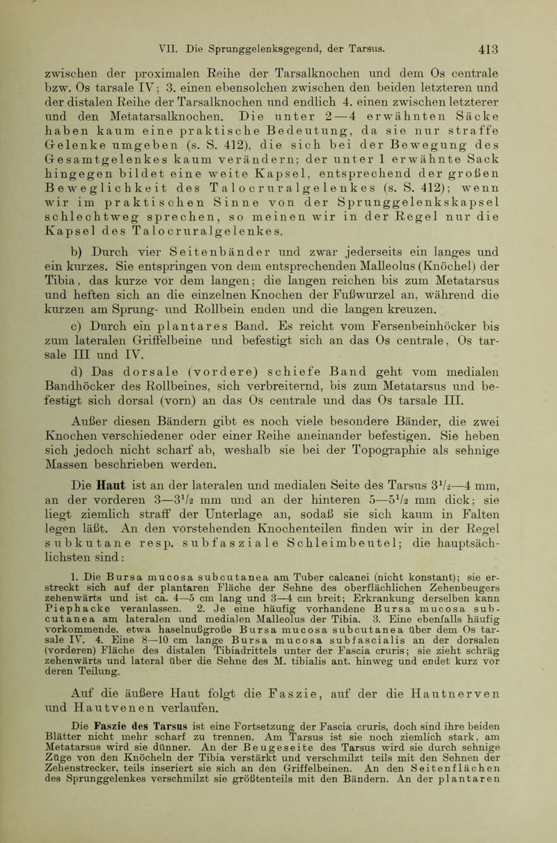 zwischen der proximalen Eeihe der Tarsalknochen und dem Os centrale bzw. Os tarsale IV; 3. einen ebensolchen zwischen den beiden letzteren und der distalen Reihe der Tarsalknochen und endlich 4. einen zwischen letzterer und den Metatarsalknochen. Die unter 2 — 4 erw'ahnten Säcke haben kaum eine praktische Bedeutung, da sie nur straffe Gielenke umgeben (s. S. 412), die sich bei der Bewegung des Gesamtgelenkes kaum verändern; der unter 1 erwähnte Sack hingegen bildet eine weite Kapsel, entsprechend der großen Beweglichkeit des T a 1 o c r u r a 1 g e 1 e n k e s (s. S. 412); wenn ■wir im praktischen Sinne von der Sprunggelenkskapsel schlechtweg sprechen, so meinen wir in der Regel nur die Kapsel des Talocruralgelenkes. b) Durch vier Seitenbänder und zwar jederseits ein langes und ein kurzes. Sie entspringen von dem entsprechenden Malleolus (Knöchel) der Tibia, das kurze vor dem langen; die langen reichen bis zum Metatarsus und heften sich an die einzelnen Knochen der Fußwurzel an, während die kurzen am Sprung- und Rollbein enden und die langen kreuzen. c) Durch ein plantares Band. Es reicht vom Fersenbeinhöcker bis zum lateralen Grilfelbeine und befestigt sich an das Os centrale, Os tar- sale III und IV. d) Das dorsale (vordere) schiefe Band geht vom medialen Bandhöcker des Rollbeines, sich verbreiternd, bis zum Metatarsus und be- festigt sich dorsal (vorn) an das Os centrale und das Os tarsale III. Außer diesen Bändern gibt es noch viele besondere Bänder, die zwei Knochen verschiedener oder einer Reihe aneinander befestigen. Sie heben sich jedoch nicht scharf ab, weshalb sie bei der Topographie als sehnige Massen beschrieben werden. Die Haut ist an der lateralen und medialen Seite des Tarsus 3^2—4 mm, an der vorderen 3—3^/2 mm und an der hinteren 5—5^/2 mm dick; sie liegt ziemhch straff der Unterlage an, sodaß sie sich kaum in Falten legen läßt. An den vorstehenden Knochenteilen finden wir in der Regel subkutane resp. subfasziale Schleimbeutel; die hauptsäch- lichsten sind: 1. Die Bursa mucosa subcutanea am Tuber calcanei (nicht konstant); sie er- streckt sich auf der plantaren Fläche der Sehne des oberflächlichen Zehenbeugers zehenwärts und ist ca. 4—5 cm lang und 3—4 cm breit; Erkrankung derselben kann Piephacke veranlassen. 2. Je eine häufig vorhandene Bursa mucosa sub- cutanea am lateralen und medialen Malleolus der Tibia. 3. Eine ebenfalls häufig vorkommende, etwa haselnußgroße Bursa mucosa subcutanea über dem Os tar- sale IV. 4. Eine 8—10 cm lan^ Bursa mucosa subfascialis an der dorsalen (vorderen) Fläche des distalen Tibiadrittels unter der Fascia cruris; sie zieht schräg zehenwärts und lateral über die Sehne des M. tibialis ant. hinweg und endet kurz vor deren Teilung. Auf die äußere Haut folgt die Faszie, auf der die Hautnerven und Hautvenen verlaufen. Die Faszie des Tarsus ist eine Fortsetzung der Fascia cruris, doch sind ihre beiden Blätter nicht mehr scharf zu trennen. Am Tarsus ist sie noch ziemlich stark, am Metatarsus wird sie dünner. An der Beugeseite des Tarsus wird sie durch sehnige Züge von den Knöcheln der Tibia verstärkt und verschmilzt teüs mit den Sehnen der Zehenstreckei', teils inseriert sie sich an den Griffelbeinen. An den Seitenflächen des Sprunggelenkes verschmilzt sie größtenteils mit den Bändern. An der plantaren