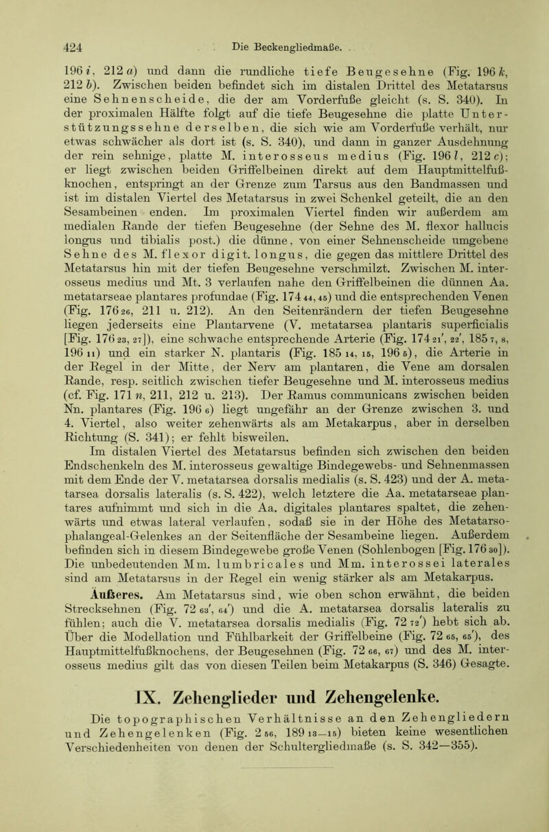 196 212 a) und dann die rundliclie tiefe Beugesehne (Big. 196 Ä;, 212 h). Zwischen beiden befindet sieb im distalen Drittel des Metatarsus eine Sehnenscheide, die der am Vorderfuße gleicht (s. S. 340). In der proximalen Hälfte folgf auf die tiefe Beugesehne die platte Unter- stützungssehne derselben, die sich wie am Vorderfuße verhält, nur etwas schwächer als dort ist (s. S. 340), und dann in ganzer Ausdehnung der rein sehnige, platte M. interosseus medius (Fig. 196 Z, 212 c); er liegt zwischen beiden Glrififelbeinen direkt auf dem Hauptmittelfuß- knochen, entspringt an der Grenze zum Tarsus aus den Bandmassen und ist im distalen Viertel des Metatarsus in zwei Schenkel geteilt, die an den Sesambeinen enden. Im proximalen Viertel finden wir außerdem am medialen Bande der tiefen Beugesehne (der Sehne des M. fiexor hallucis longus und tibialis post.) die dünne, von einer Sehnenscheide umgebene Sehne des M. fiexor digit. longus, die gegen das mittlere Drittel des Metatarsus hin mit der tiefen Beugesehne verschmilzt. Zwischen M. inter- osseus medius und Mt. 3 verlaufen nahe den Grififelbeinen die dünnen Aa. metatarseae plantares profundae (Fig. 17444,4s) und die entsprechenden Venen (Fig. 176 26 , 211 u. 212). An den Seitenrändern der tiefen Beugesehne liegen jederseits eine Plantarvene (V. metatarsea plantaris superficialis [Fig. 176 23,27]), eine schwache entsprechende Arterie (Fig. 174 21', 22', 185 t, s, 196 11) und ein starker N. plantaris (Fig. 185 14, is, 196 s), die Arterie in der Eegel in der Mitte, der Nerv am plantaren, die Vene am dorsalen Bande, resp. seitlich zwischen tiefer Beugesehne und M. interosseus medius (cf. Fig. 171 n, 211, 212 u. 213). Der Bamus commimicans zwischen beiden Nn. plantares (Fig. 196 e) liegt ungefähr an der Grenze zwischen 3. und 4. Viertel, also weiter zehenwärts als am Metakarpus, aber in derselben Bichtung (S. 341); er fehlt bisweilen. Im distalen Viertel des Metatarsus befinden sich zwischen den beiden Endschenkeln des M. interosseus gewaltige Bindegewebs- und Sehnenmassen mit dem Ende der V. metatarsea dorsalis medialis (s. S. 423) und der A. meta- tarsea dorsalis lateralis (s. S. 422), welch letztere die Aa. metatarseae plan- tares aufnimmt und sich in die Aa. digitales plantares spaltet, die zehen- wärts und etwas lateral verlaufen, sodaß sie in der Höhe des Metatarso- phalangeal-Gelenkes an der Seitenfläche der Sesambeine liegen. Außerdem befinden sich in diesem Bindegewebe große Venen (Sohlenbogen [Fig. 176 30]). Die unbedeutenden Mm. lumbricales imd Mm. interossei laterales sind am Metatarsus in der Begel ein wenig stärker als am Metakarpus. Äußeres. Am Metatarsus sind, wie oben schon erwähnt, die beiden Strecksehnen (Fig. 72 63', 64') und die A. metatarsea dorsalis lateralis zu fühlen; auch die V. metatarsea dorsalis medialis (Fig. 72 72') hebt sich ab. Über die Modellation und Fühlbarkeit der Griffelbeine (Fig. 72 66, es'), des Hauptmittelfußknochens, der Beugesehnen (Fig. 72 ee, 67) und des M. inter- osseus medius gilt das von diesen Teilen beim Metakarpus (S. 346) Gesagte. IX. Zehenglieder und Zehengelenke. Die topographischen Verhältnisse an den Zehengliedern und Zehengelenken (Fig. 2 66, 189 13—15) bieten keine wesentlichen Verschiedenheiten von denen der Schultergliedmaße (s. S. 342—355).