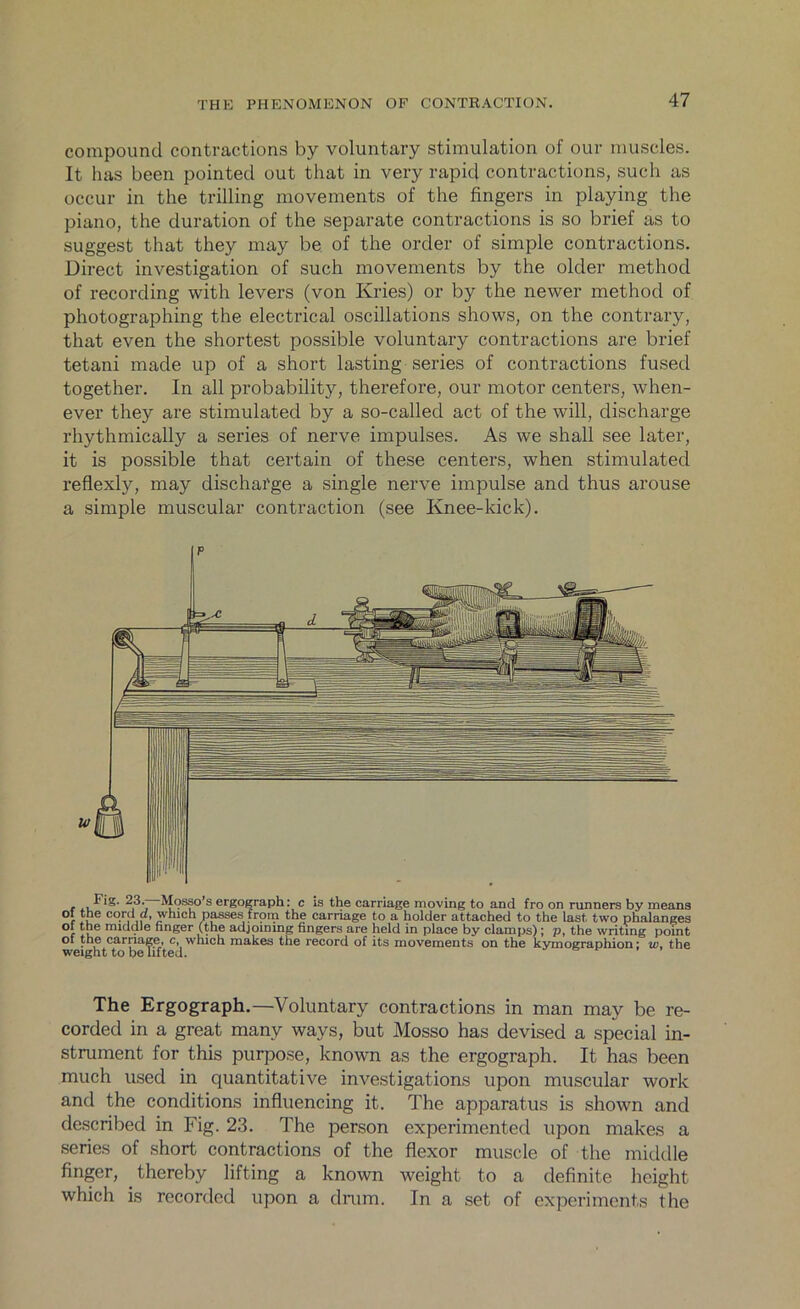 compound contractions by voluntary stimulation of our muscles. It has been pointed out that in very rapid contractions, such as occur in the trilling movements of the fingers in playing the piano, the duration of the separate contractions is so brief as to suggest that they may be of the order of simple contractions. Direct investigation of such movements by the older method of recording with levers (von Ivries) or by the newer method of photographing the electrical oscillations shows, on the contrary, that even the shortest possible voluntary contractions are brief tetani made up of a short lasting series of contractions fused together. In all probability, therefore, our motor centers, when- ever they are stimulated by a so-called act of the will, discharge rhythmically a series of nerve impulses. As we shall see later, it is possible that certain of these centers, when stimulated reflexly, may discharge a single nerve impulse and thus arouse a simple muscular contraction (see Knee-kick). Fig. 23. Mosso’s ergograph: c is the carriage moving to and fro on runners by means of the cordI d, which passes from the carriage to a holder attached to the last two phalanges of the middle finger (the adjoining fingers are held in place by clamps) ; p, the writing point of the carnage, c, which makes the record of its movements on the kymographion; w, the weight to be lifted. The Ergograph.—Voluntary contractions in man may be re- corded in a great many ways, but Mosso has devised a special in- strument for this purpose, known as the ergograph. It has been much used in quantitative investigations upon muscular work and the conditions influencing it. The apparatus is shown and described in Fig. 23. The person experimented upon makes a series of short contractions of the flexor muscle of the middle finger, thereby lifting a known weight to a definite height which is recorded upon a drum. In a set of experiments the