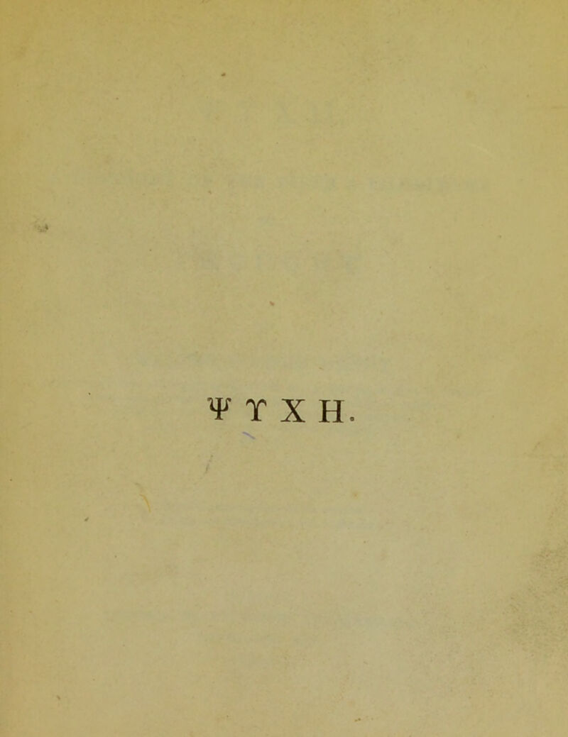 ¥TXH.