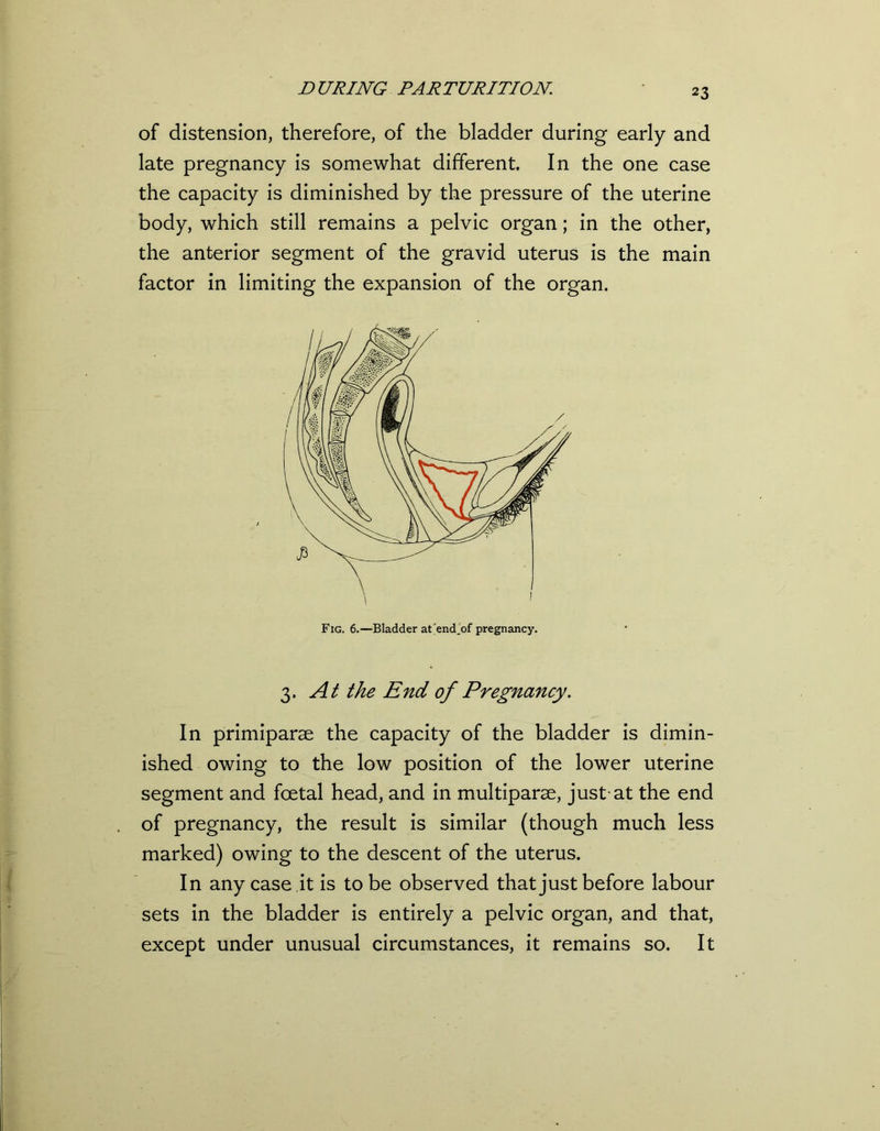 of distension, therefore, of the bladder during early and late pregnancy is somewhat different. In the one case the capacity is diminished by the pressure of the uterine body, which still remains a pelvic organ; in the other, the anterior segment of the gravid uterus is the main factor in limiting the expansion of the organ. 3. At the End of Pregnancy. In primiparse the capacity of the bladder is dimin- ished owing to the low position of the lower uterine segment and foetal head, and in multiparae, just-at the end of pregnancy, the result is similar (though much less marked) owing to the descent of the uterus. In anycase.it is to be observed that just before labour sets in the bladder is entirely a pelvic organ, and that, except under unusual circumstances, it remains so. It