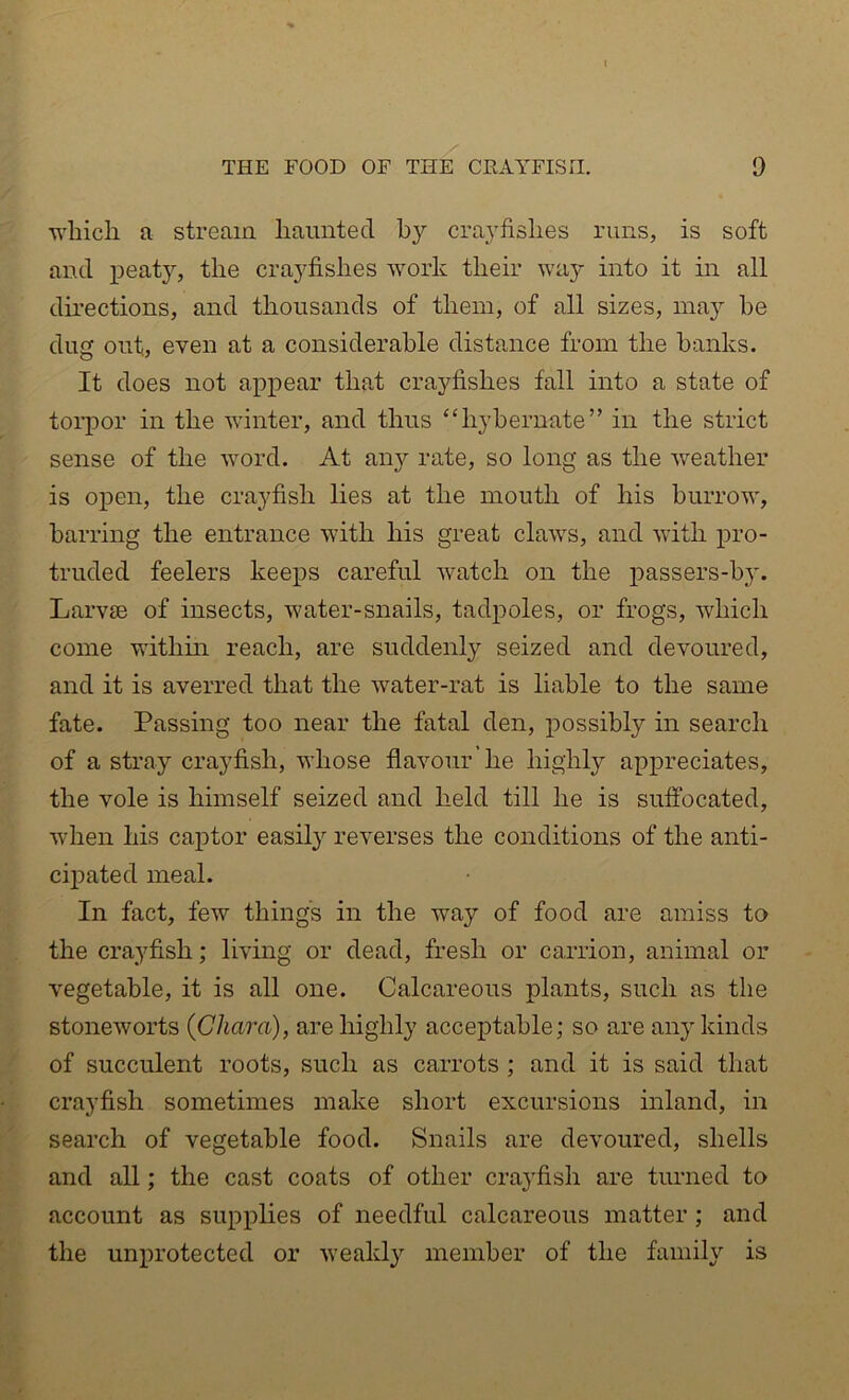 which a stream haunted h}'’ crayfishes runs, is soft and peaty, the crayfishes work their way into it in all directions, and thousands of them, of all sizes, may he dug out, even at a considerable distance from the hanks. It does not appear that crayfishes fall into a state of torpor in the winter, and thus ‘‘hybernate” in the strict sense of the word. At any rate, so long as the weather is open, the crayfish lies at the mouth of his burrow, barring the entrance with his great claws, and with pro- truded feelers keeps careful watch on the passers-by. Larv£B of insects, water-snails, tadpoles, or frogs, which come within reach, are suddenly seized and devoured, and it is averred that the water-rat is liable to the same fate. Passing too near the fatal den, possibly in search of a stray crayfish, whose flavour he highly appreciates, the vole is himself seized and held till he is suffocated, when his captor easily reverses the conditions of the anti- cipated meal. In fact, few things in the way of food are amiss to the crayfish; living or dead, fresh or carrion, animal or vegetable, it is all one. Calcareous plants, such as the stoneworts {Cliara), are highly accex)table; so are any kinds of succulent roots, such as carrots ; and it is said that crayfish sometimes make short excursions inland, in search of vegetable food. Snails are devoured, shells and all; the cast coats of other crayfish are turned to account as supplies of needful calcareous matter; and the unprotected or weakly member of the family is